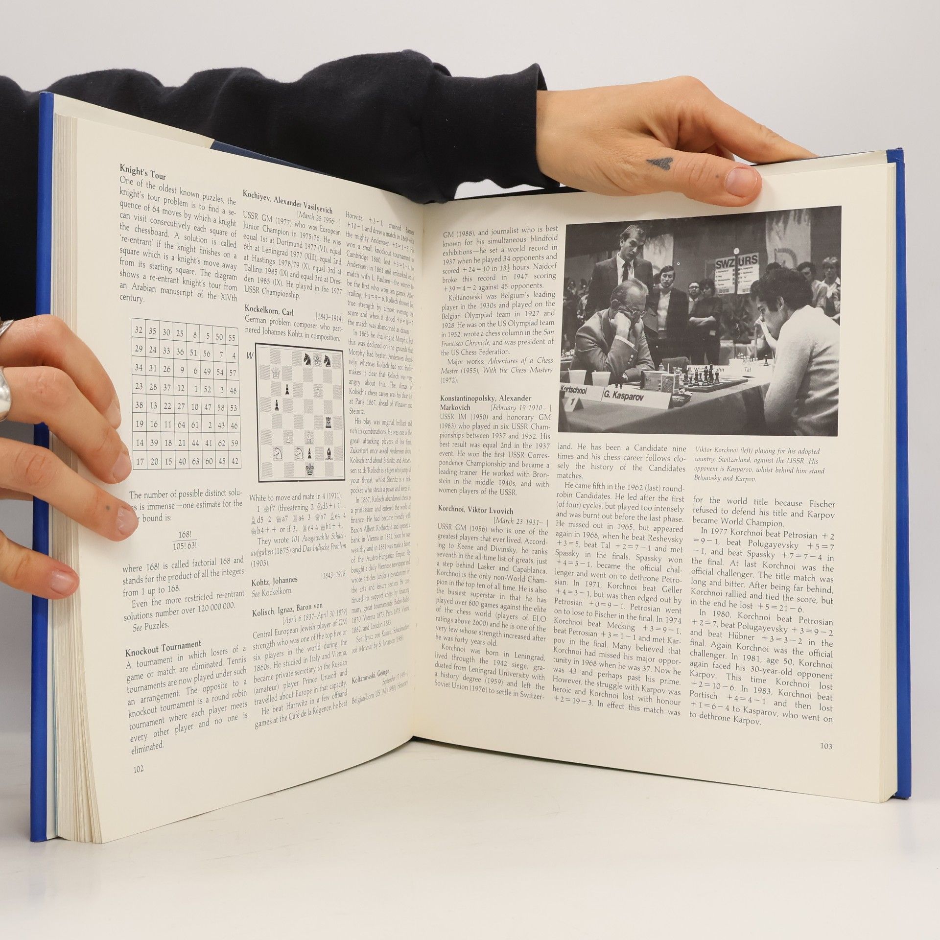 Nathan Divinsky The Batsford chess encyclopedia