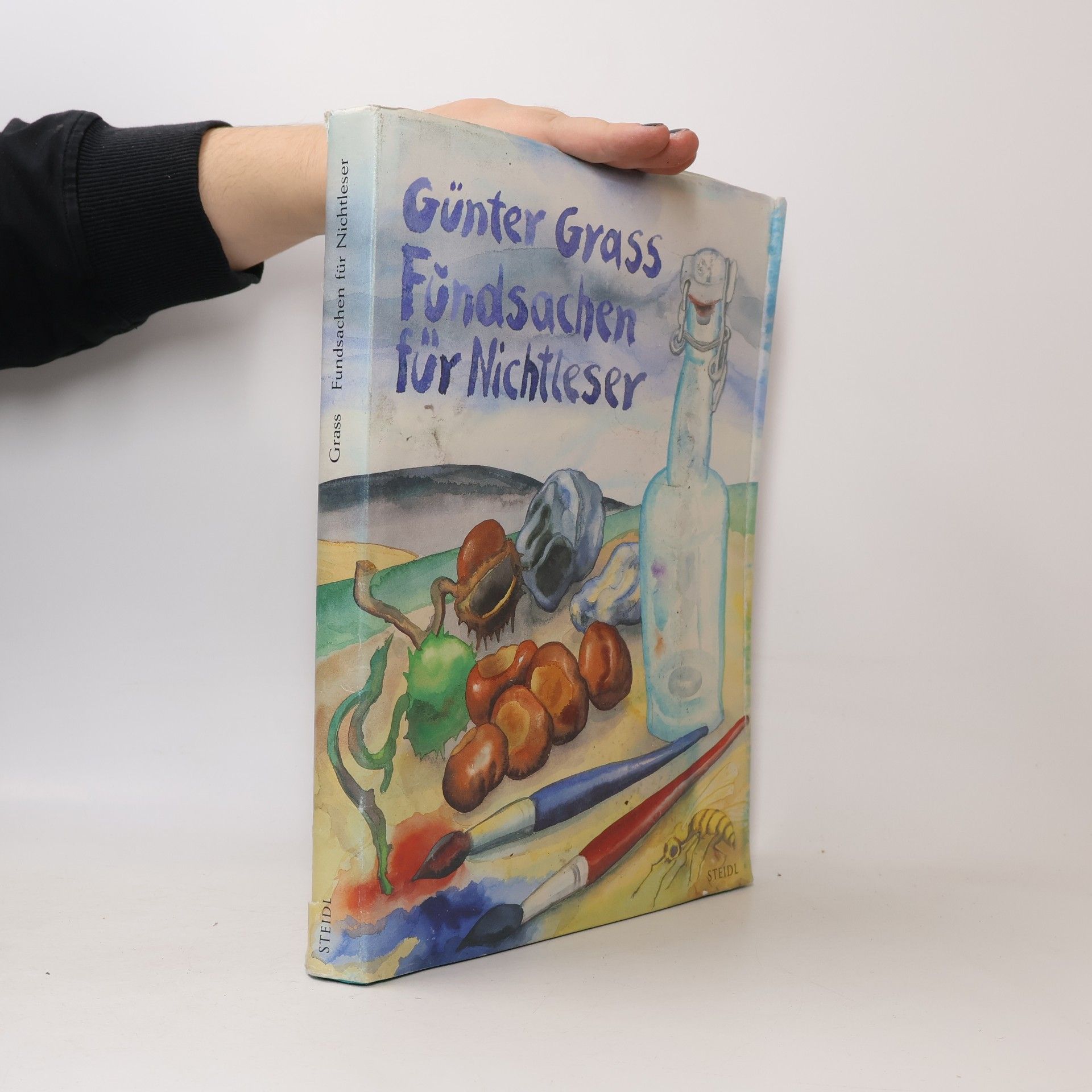 Günter Grass Fundsachen für Nichtleser