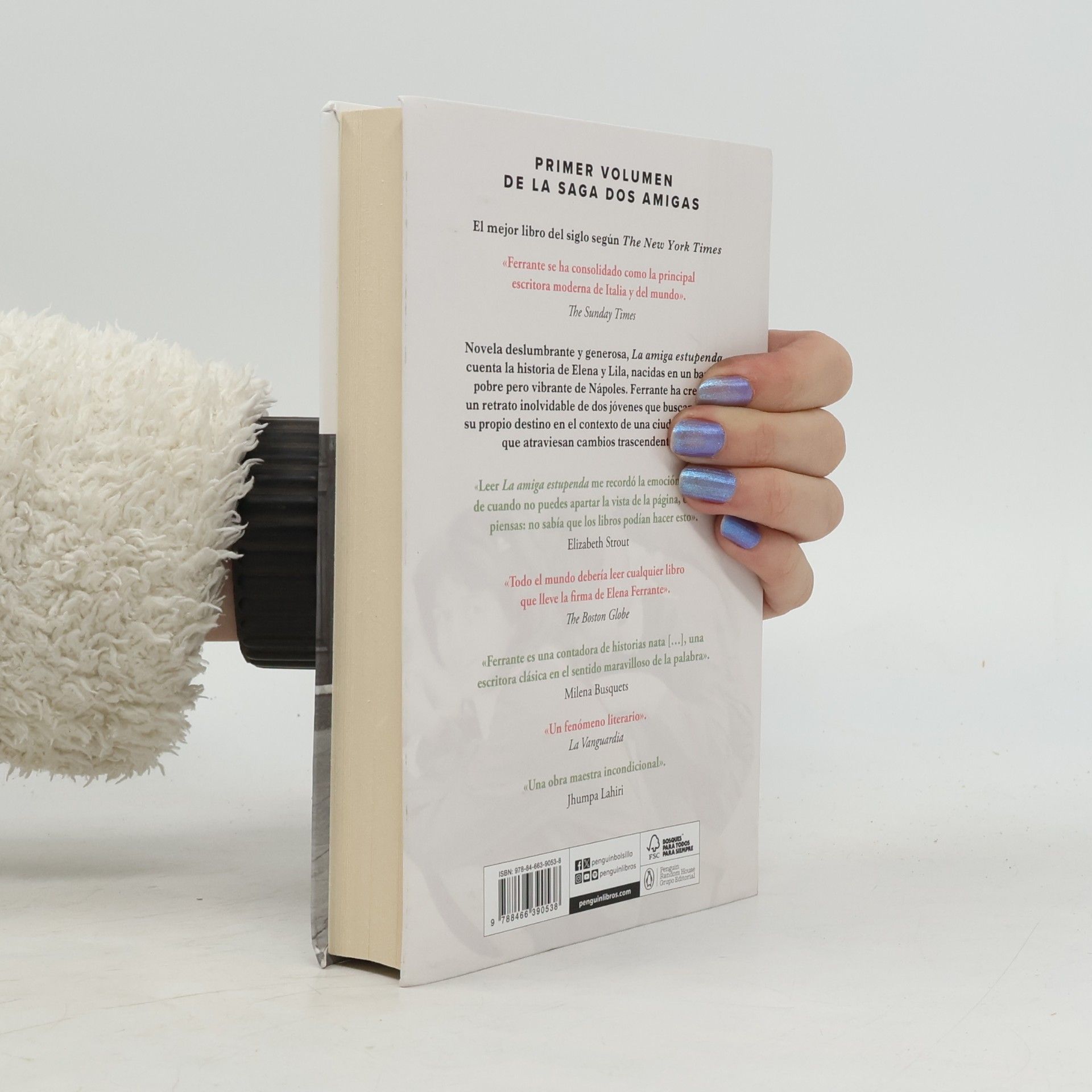 Elena Ferrante Dos amigas - 1: La amiga estupenda (edición limitada)