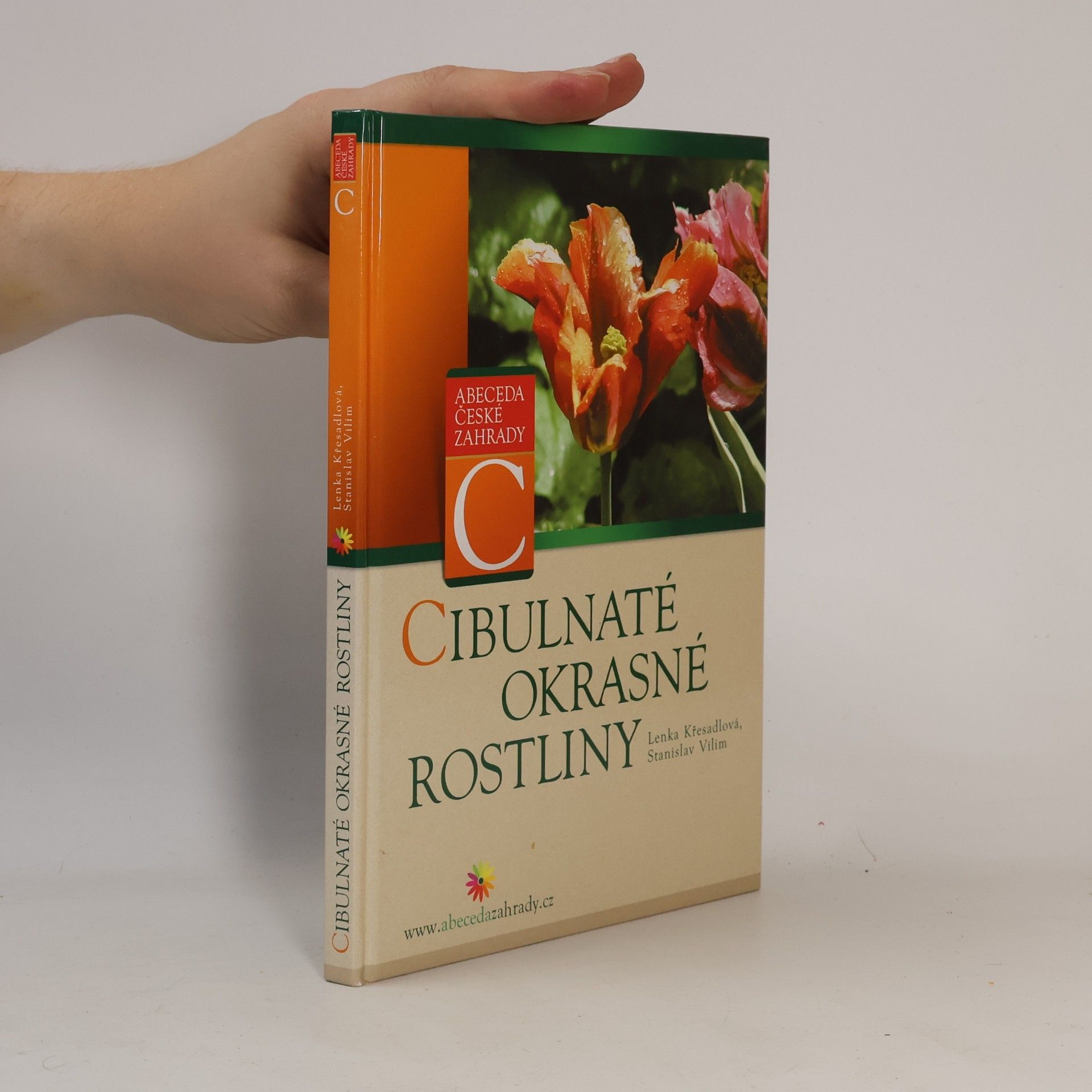 Cibulnaté okrasné rostliny