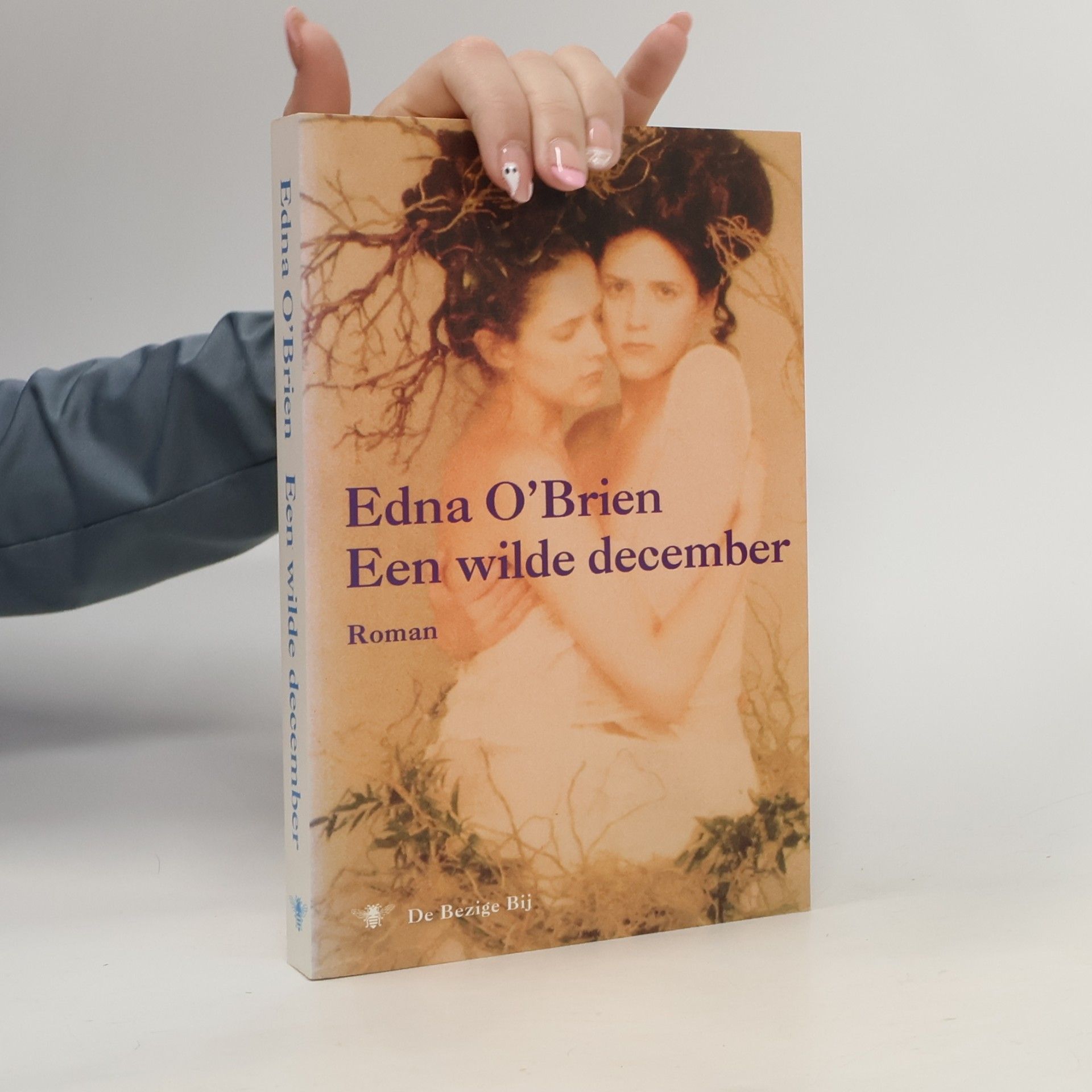 Een wilde december