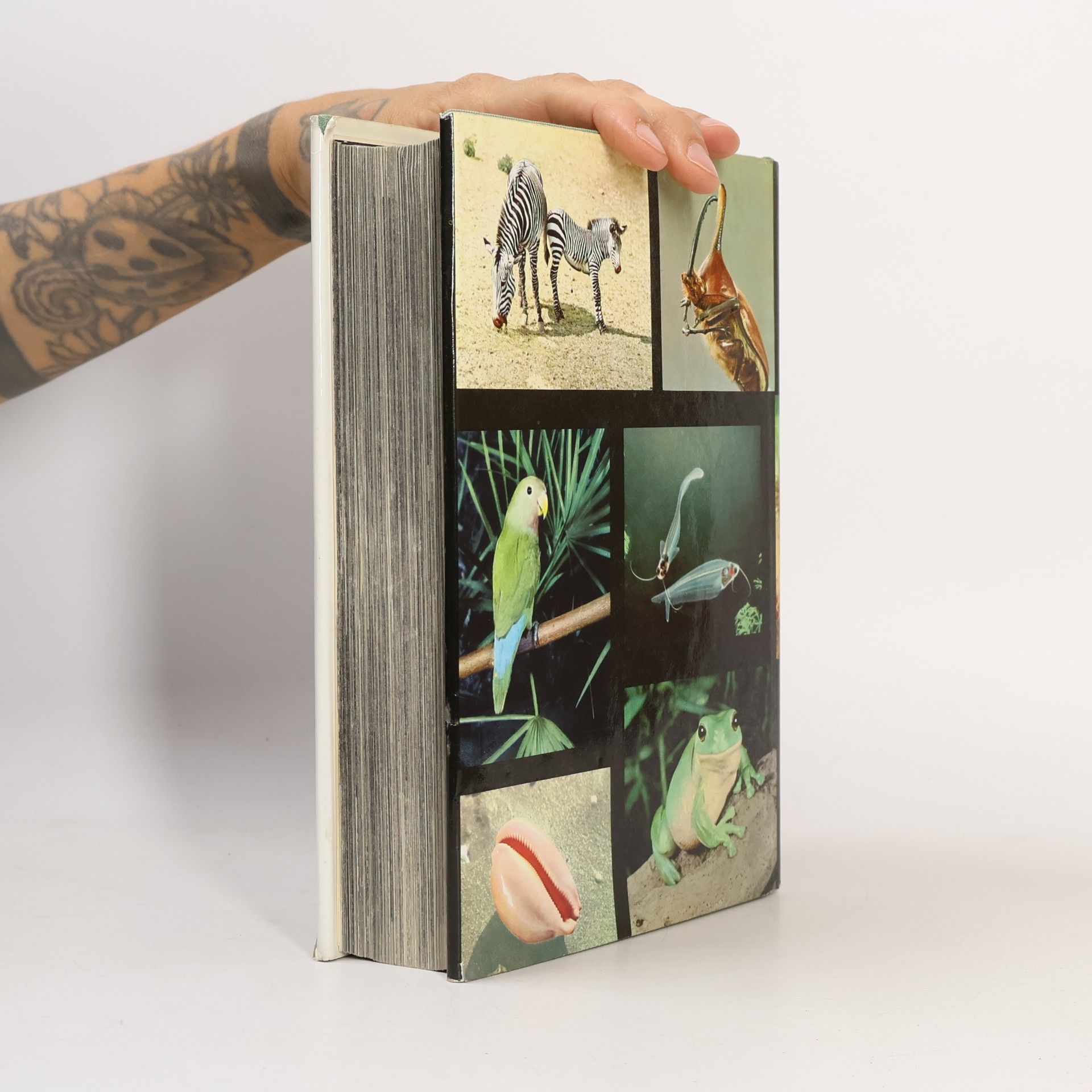 Vaclav J. Stanek Der grosse Bildatlas der Tiere