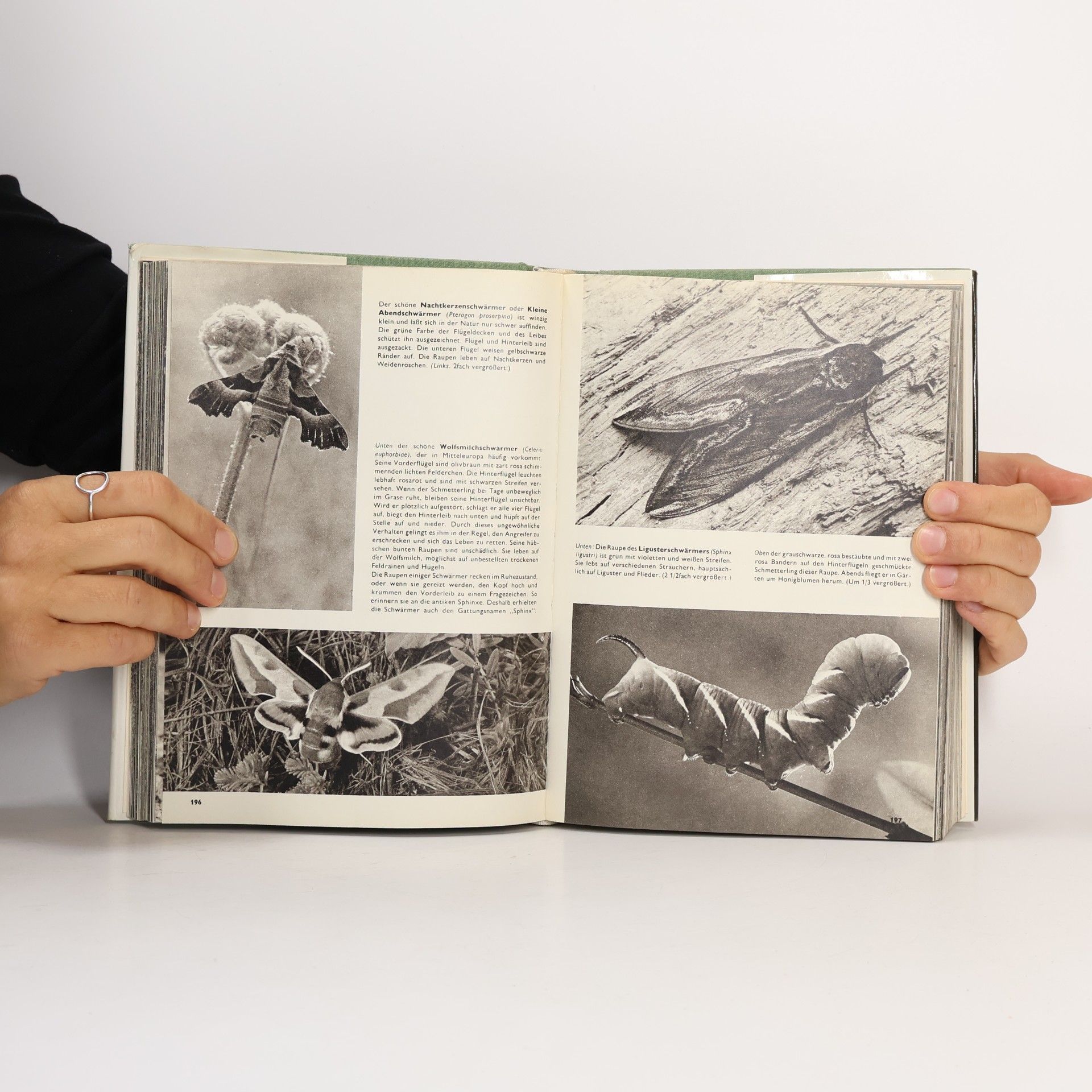 Vaclav J. Stanek Der grosse Bildatlas der Tiere