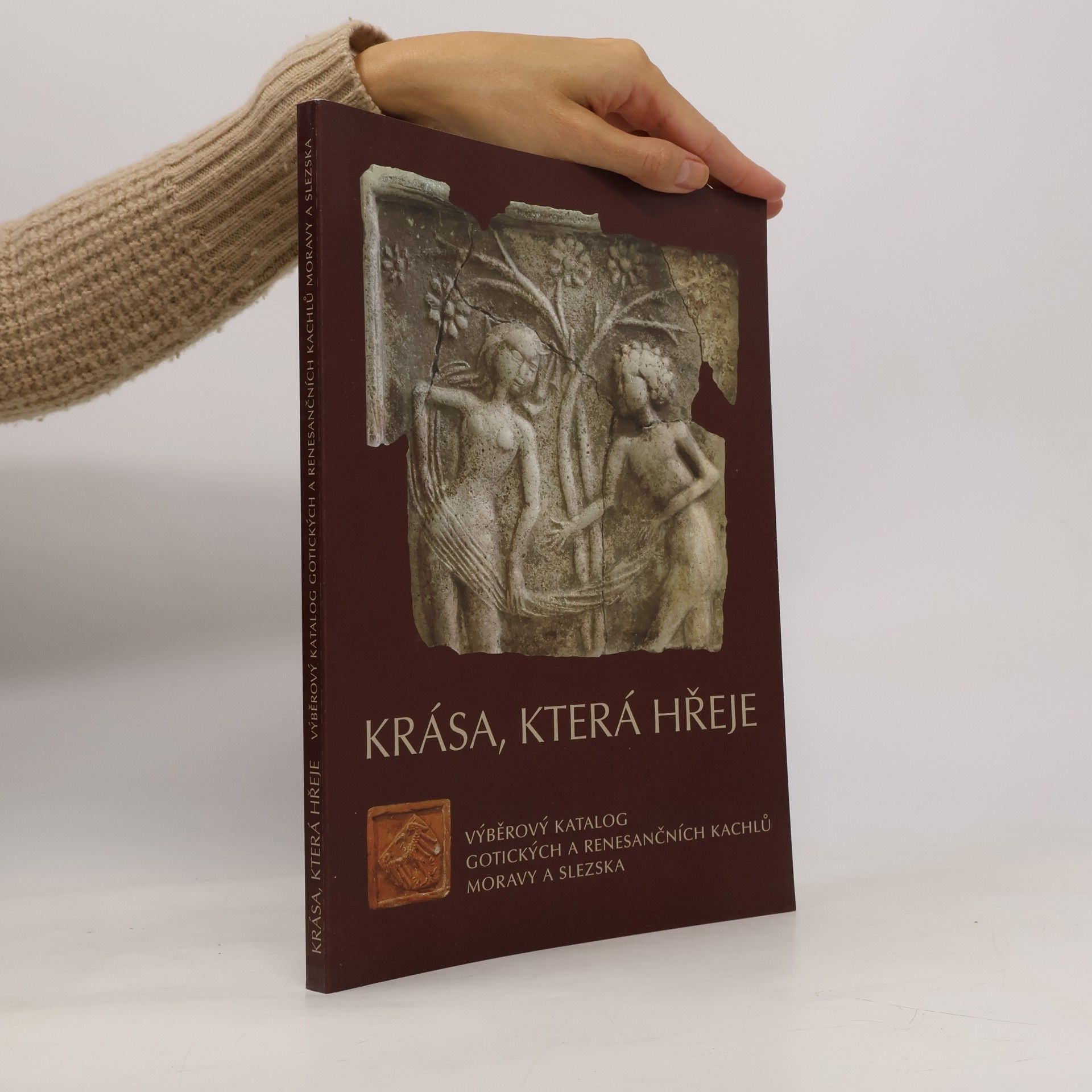 Krása, která hřeje : Výběrový katalog gotických a renesančních kachlů Moravy a Slezska