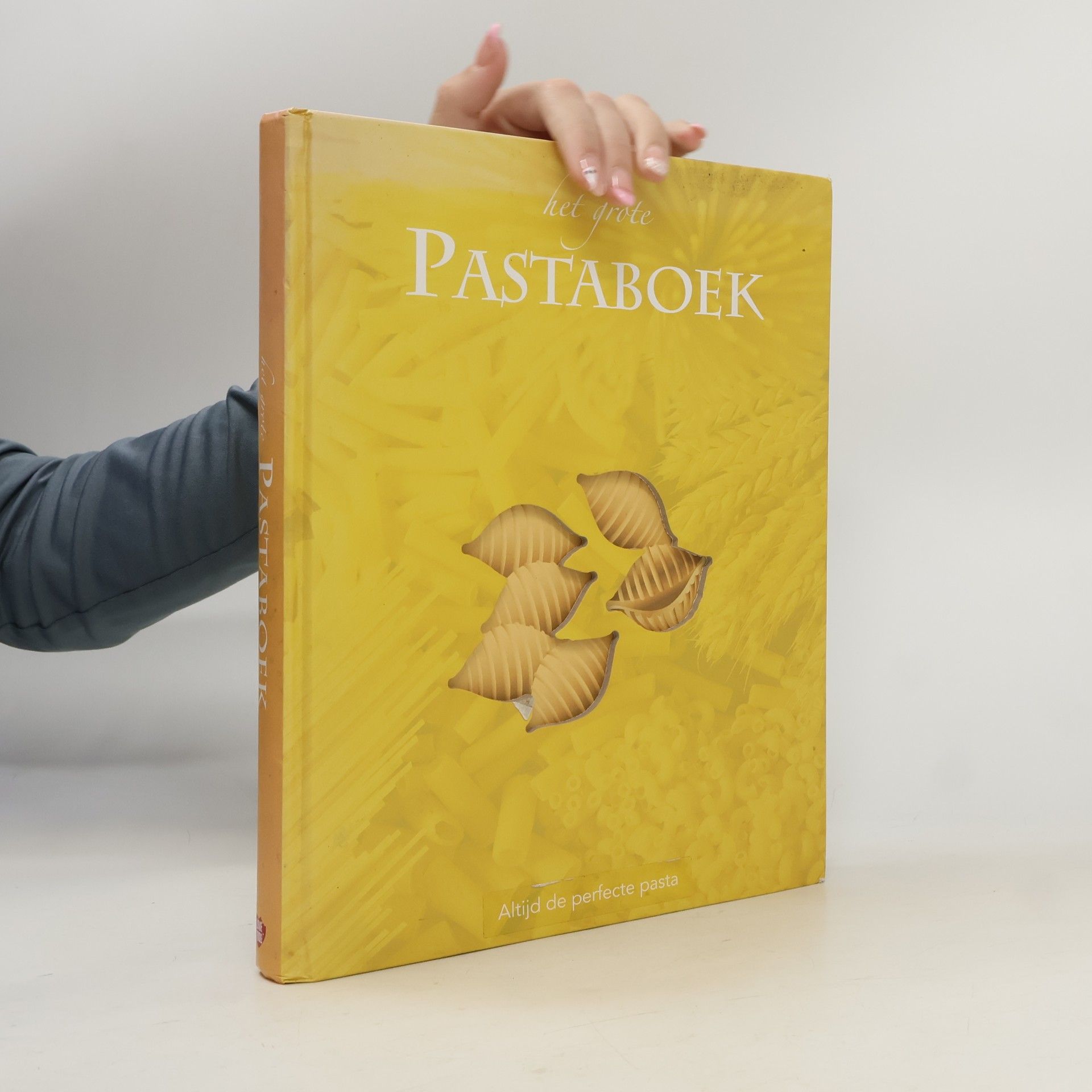 Het Grote Pastaboek