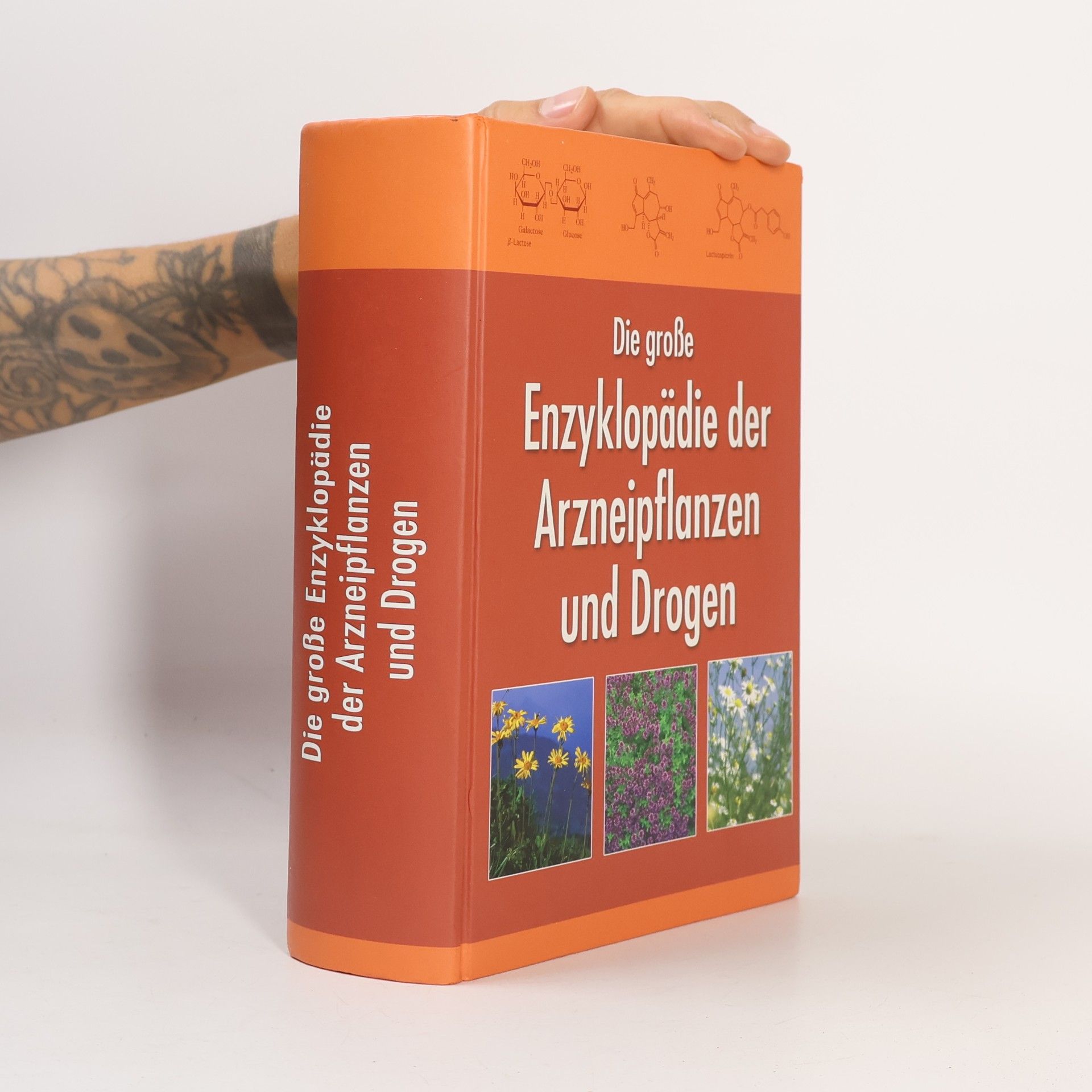 Autorenkollektiv Die große Enzyklopädie der Arzneipflanzen und Drogen