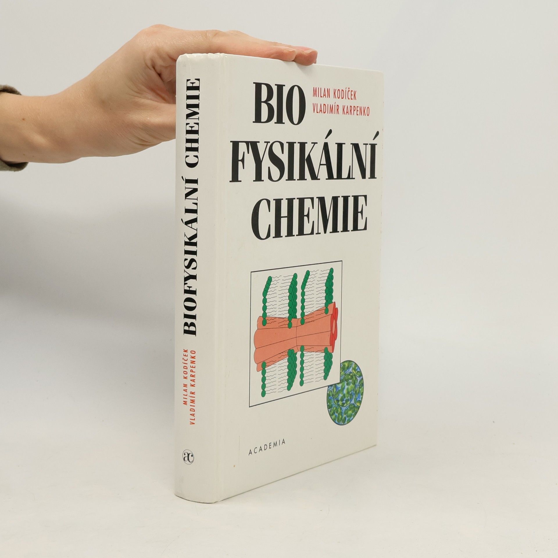 Biofysikální chemie