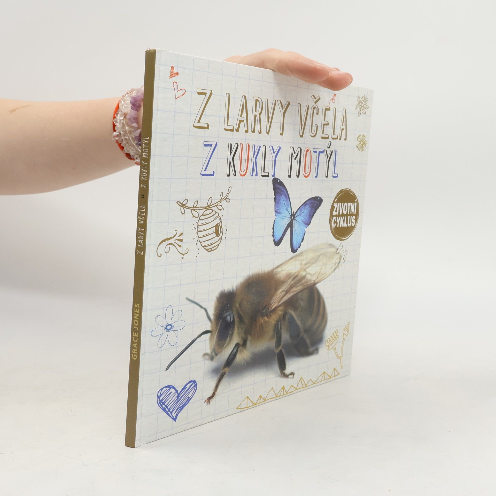 Z larvy včela, z kukly motýl