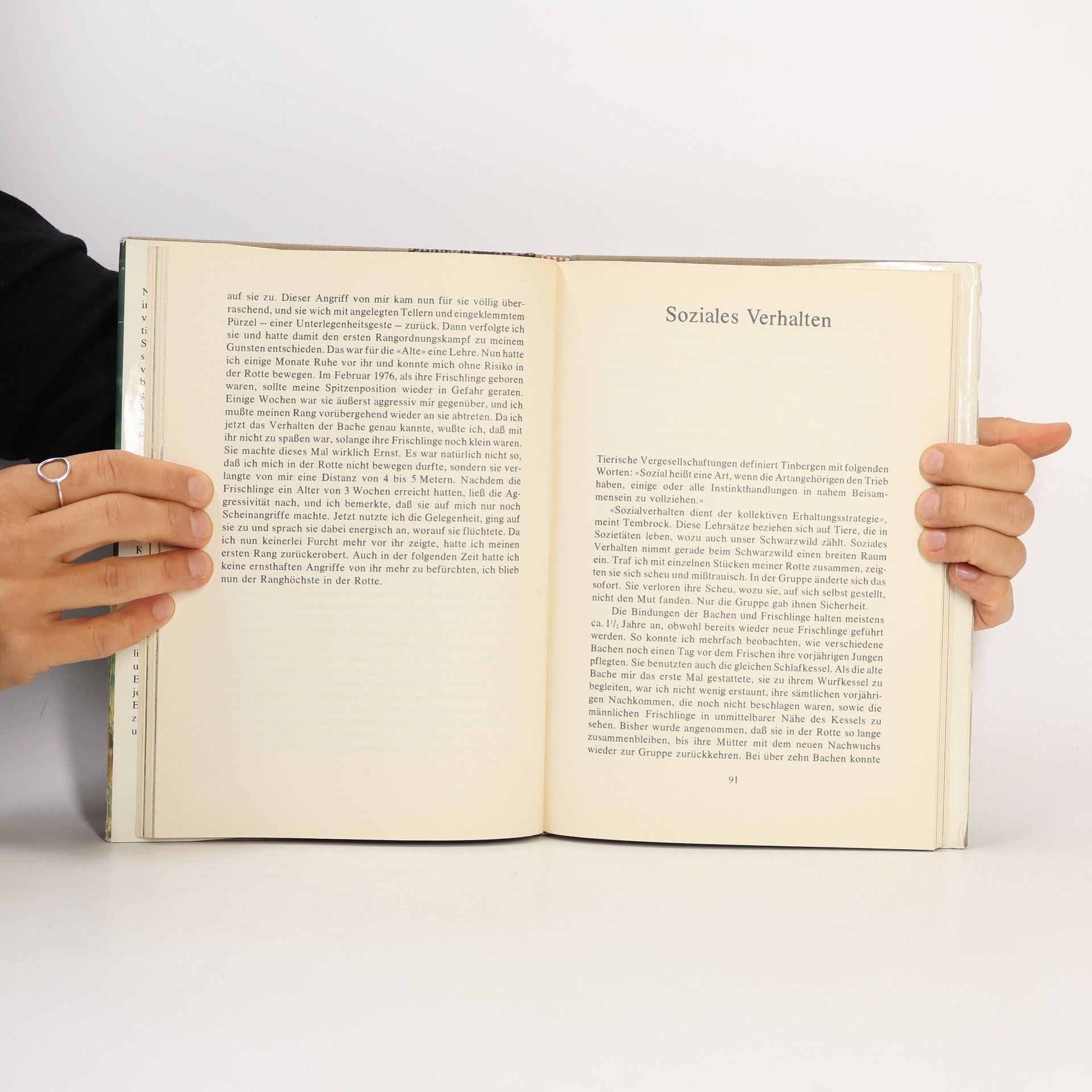 Heinz Meynhardt Schwarzwild-Report