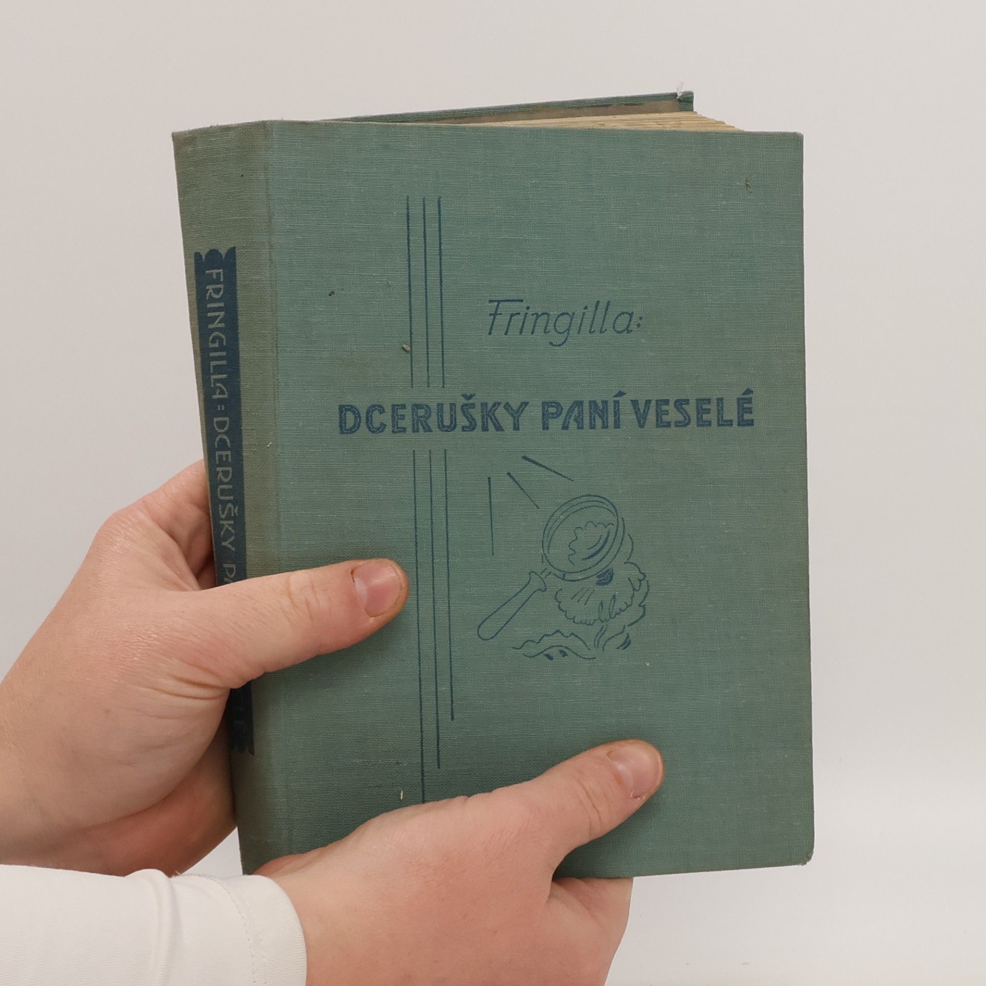 Fringilla Dcerušky paní veselé