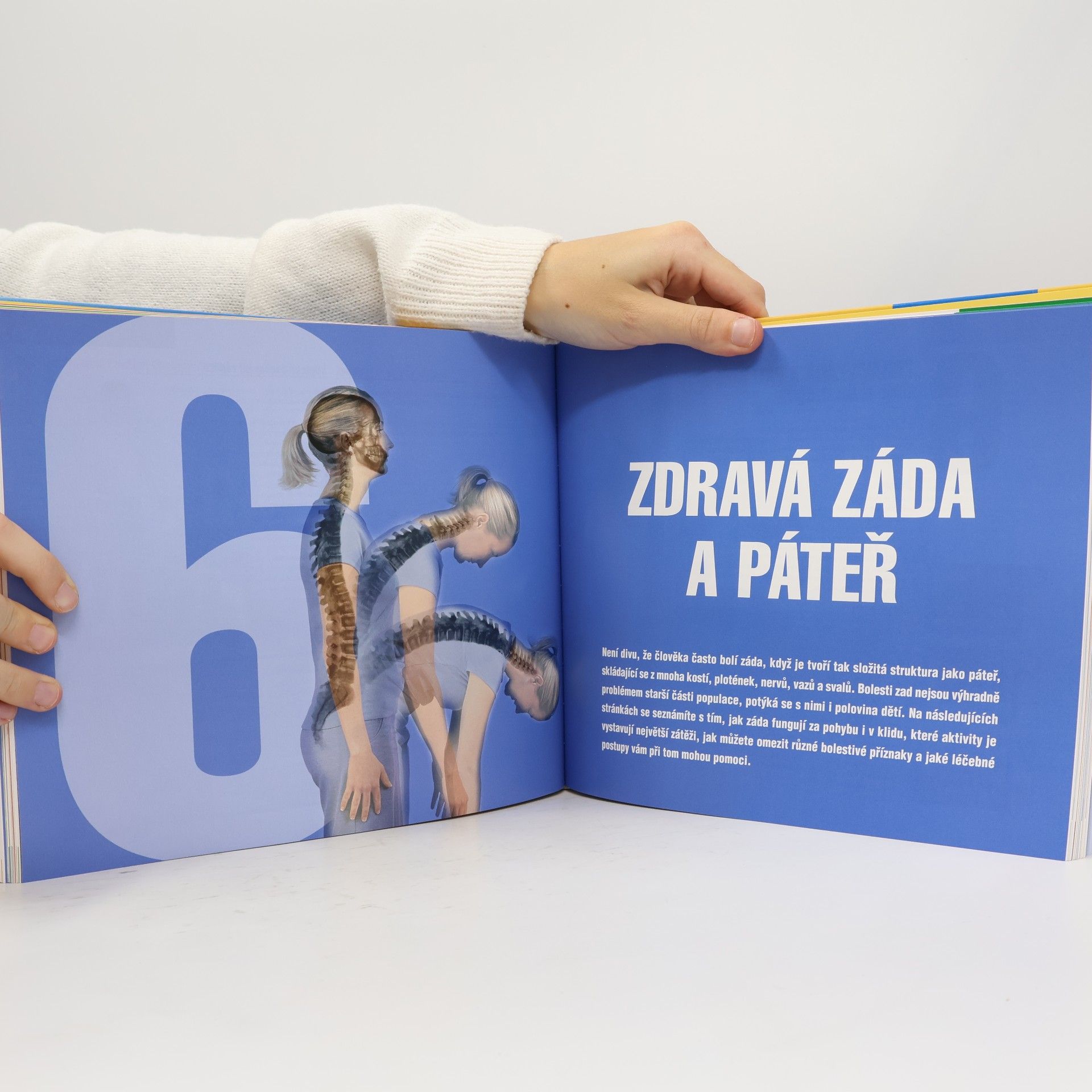 Jarmila Emmerová Zdravé kosti, svaly a klouby. Návod, jak zůstat po celý život pohyblivý a čilý