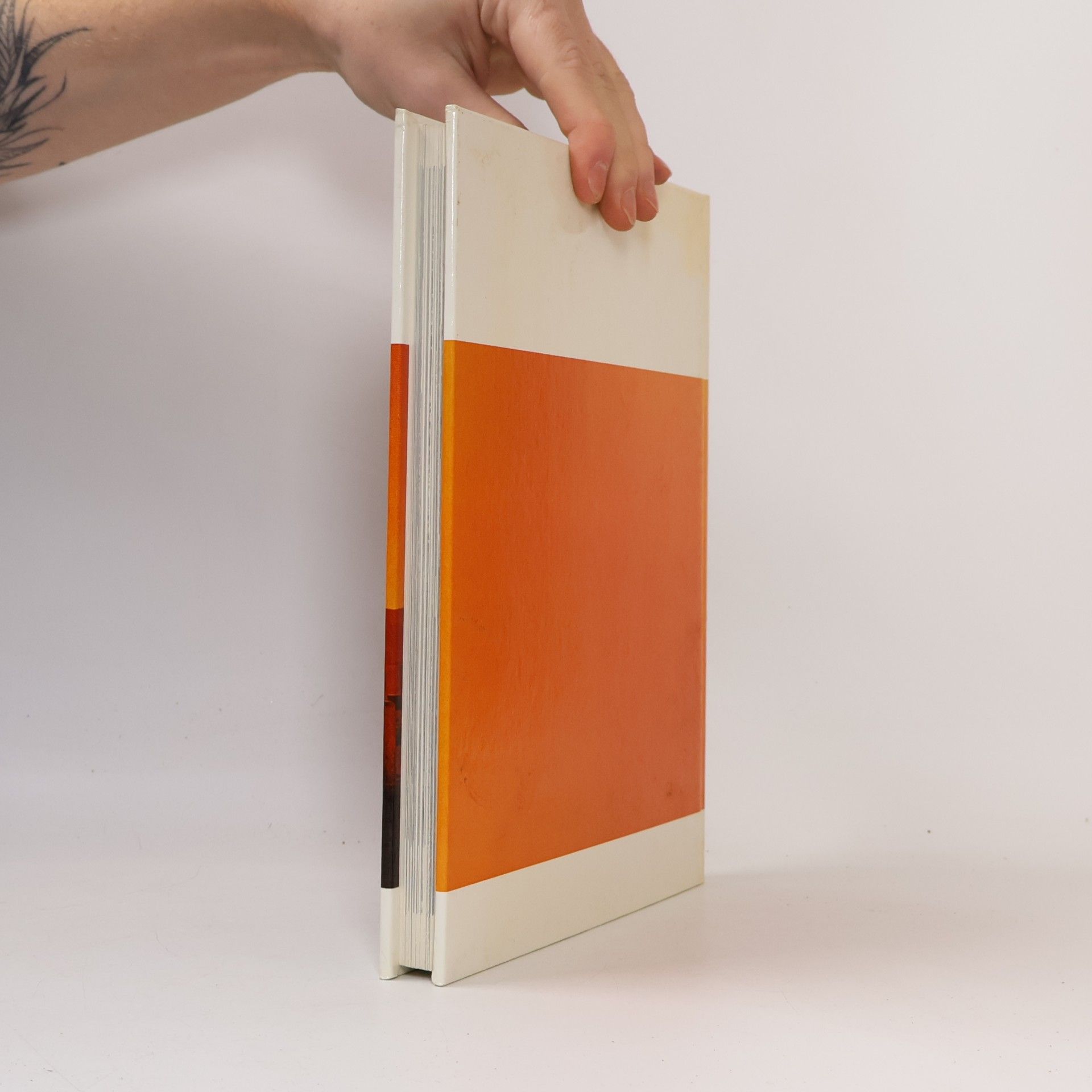 Henri Stierlin Iran der Baukünstler