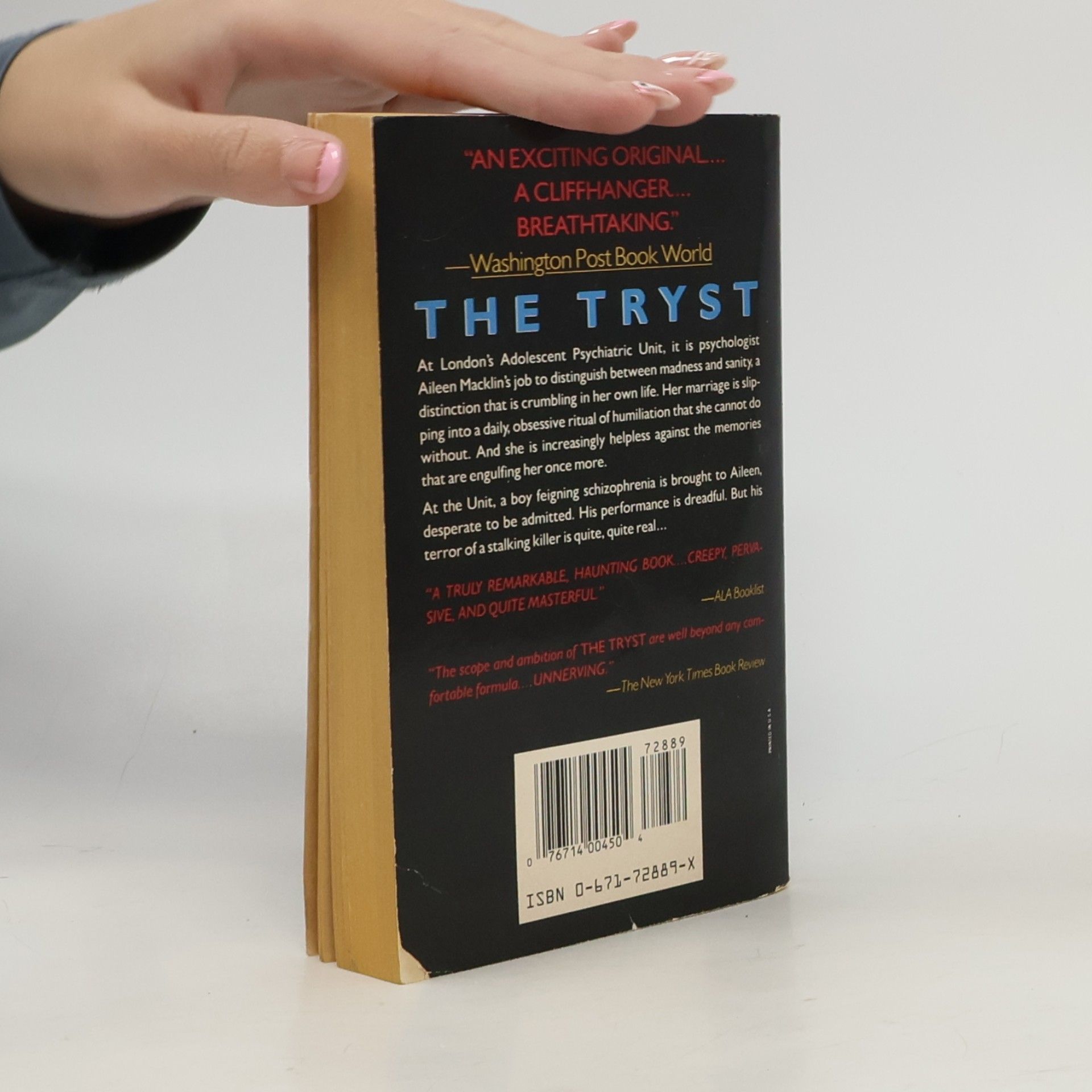 Michael Dibdin Pocket Books Mystery: The Tryst