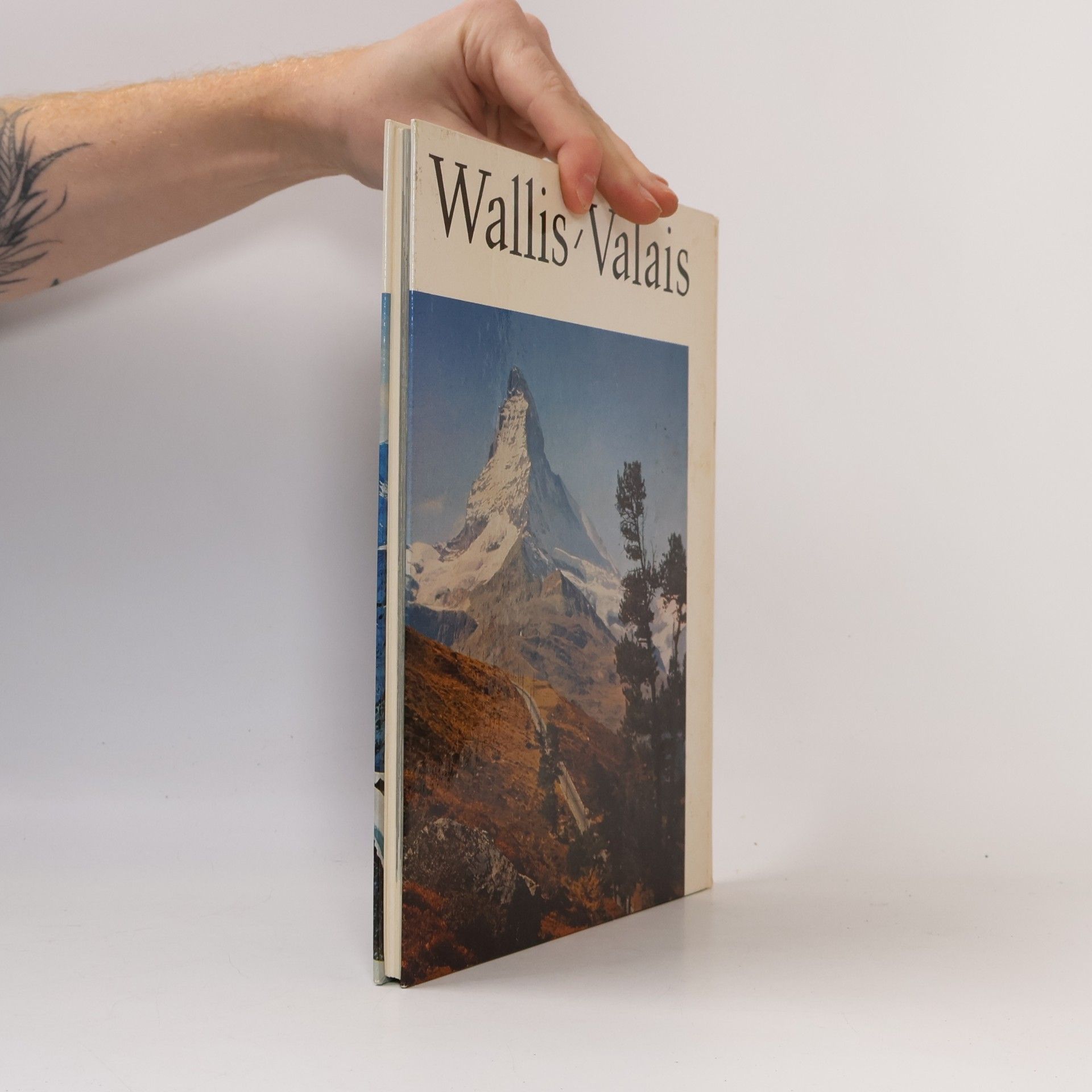 Autorenkollektiv Wallis. Valais