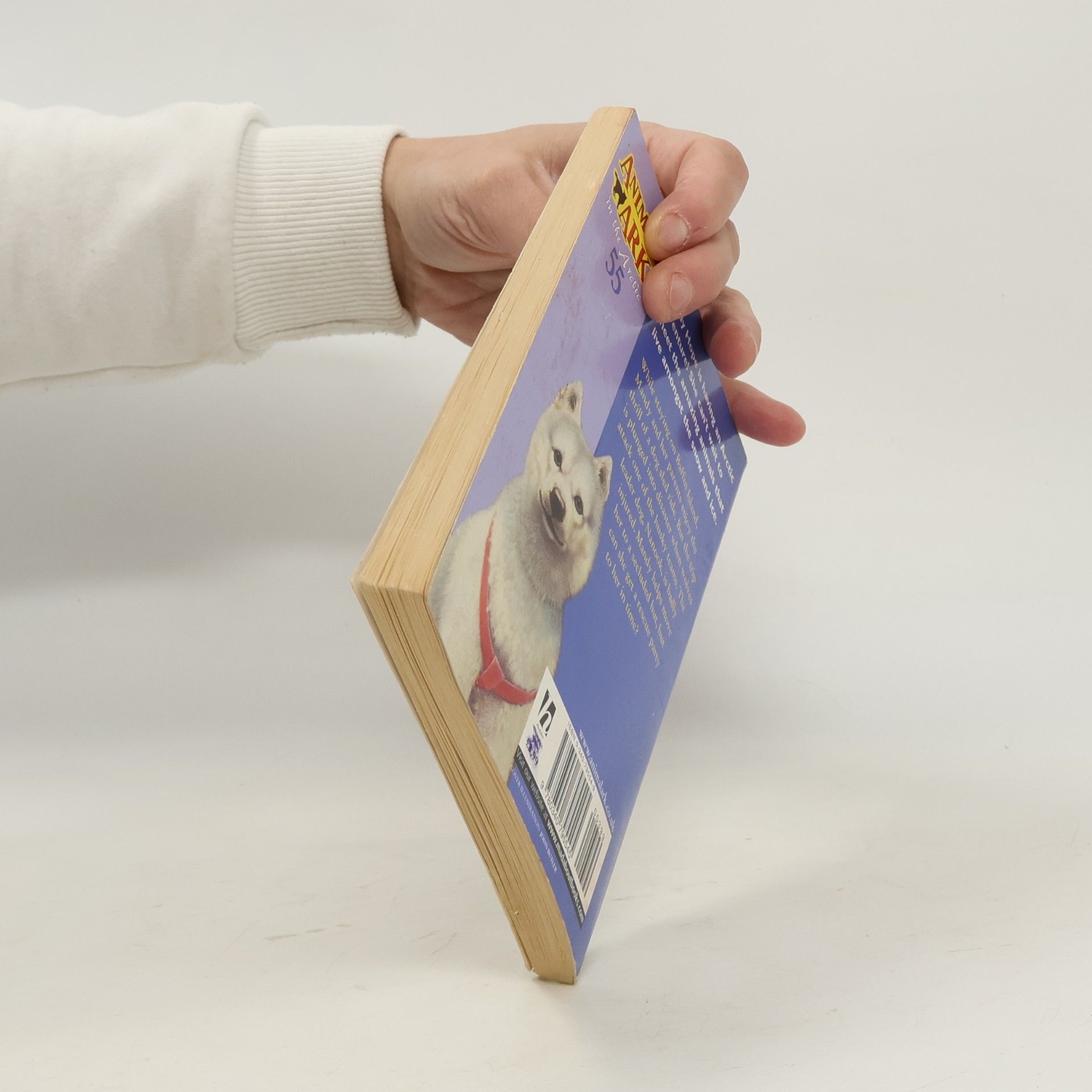 Lucy Daniels Animal Ark - 55: Husky in a Hut