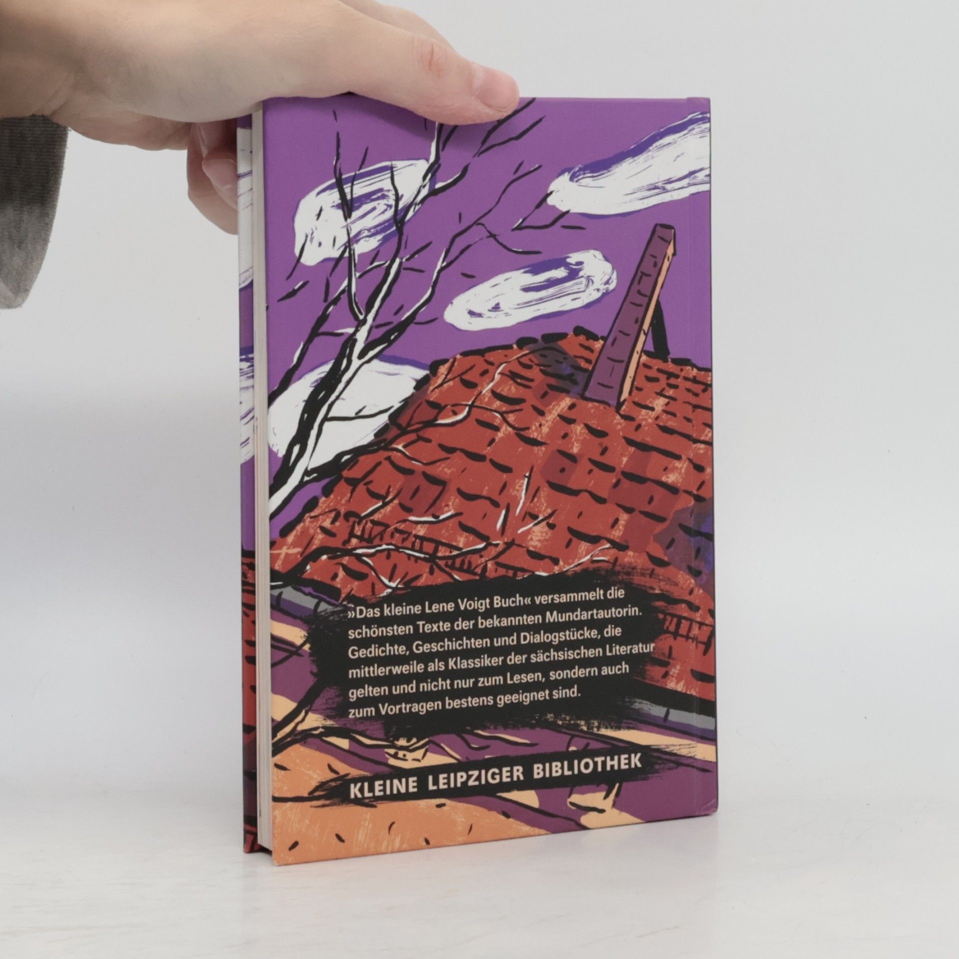 Lene Voigt Das kleine Lene Voigt Buch