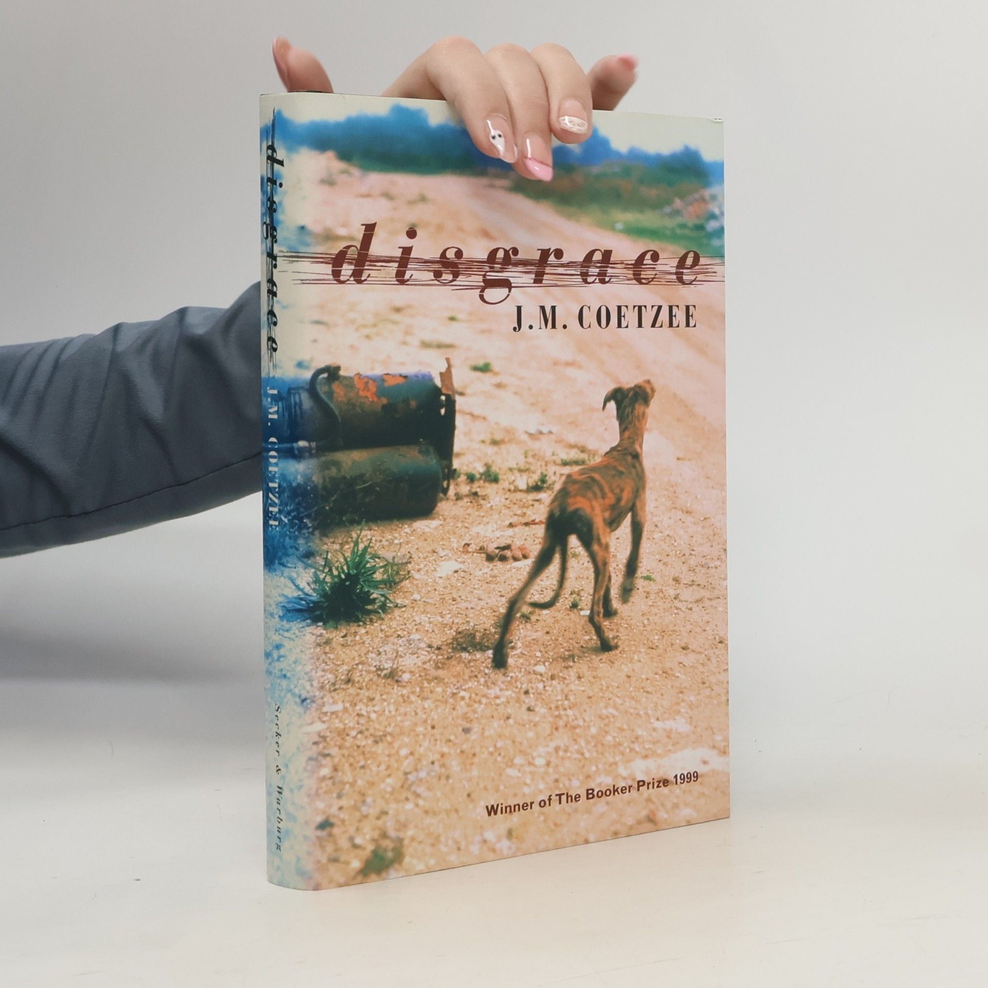 John Maxwell Coetzee Disgrace