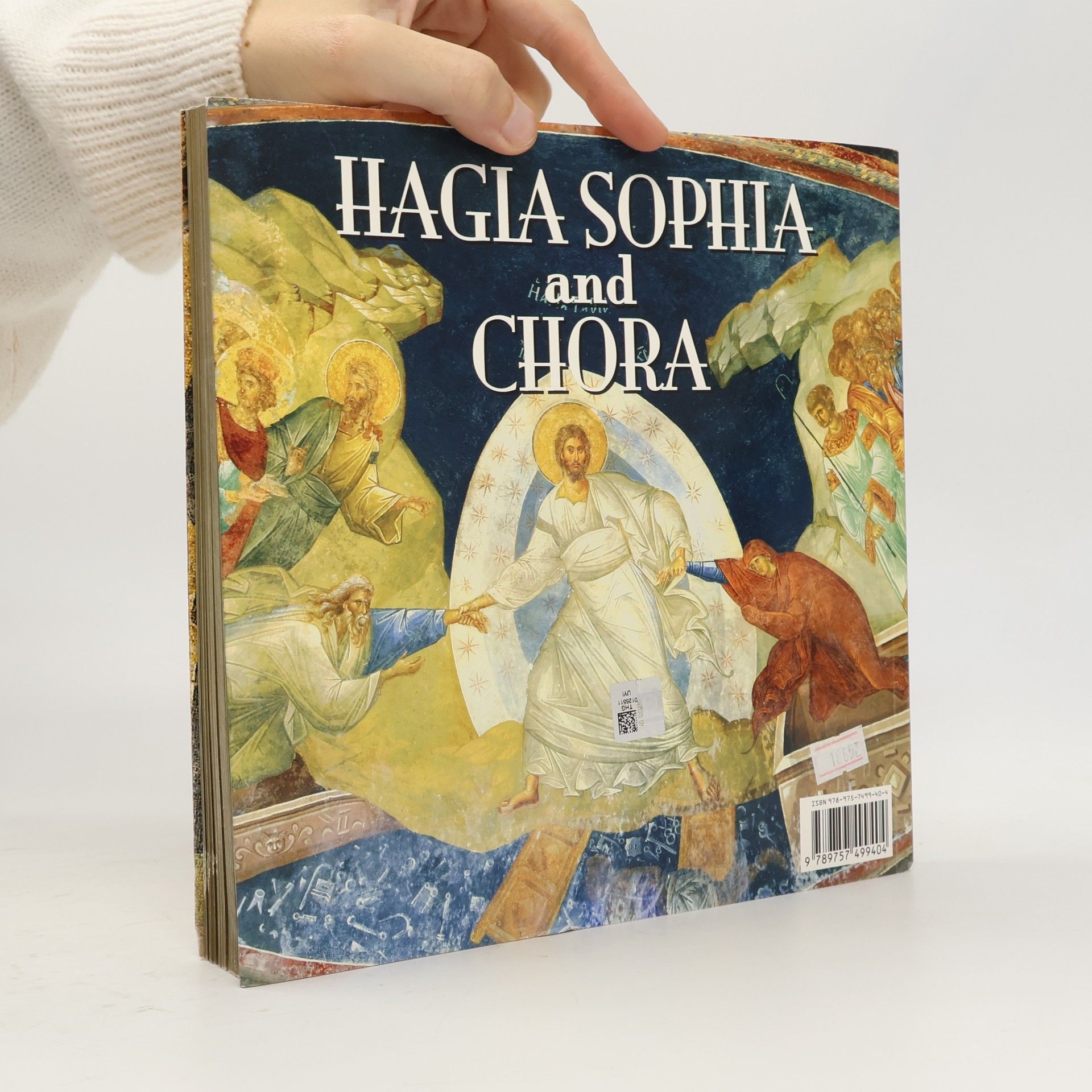 Ali Kilickaya Hagia Sophia and Chora