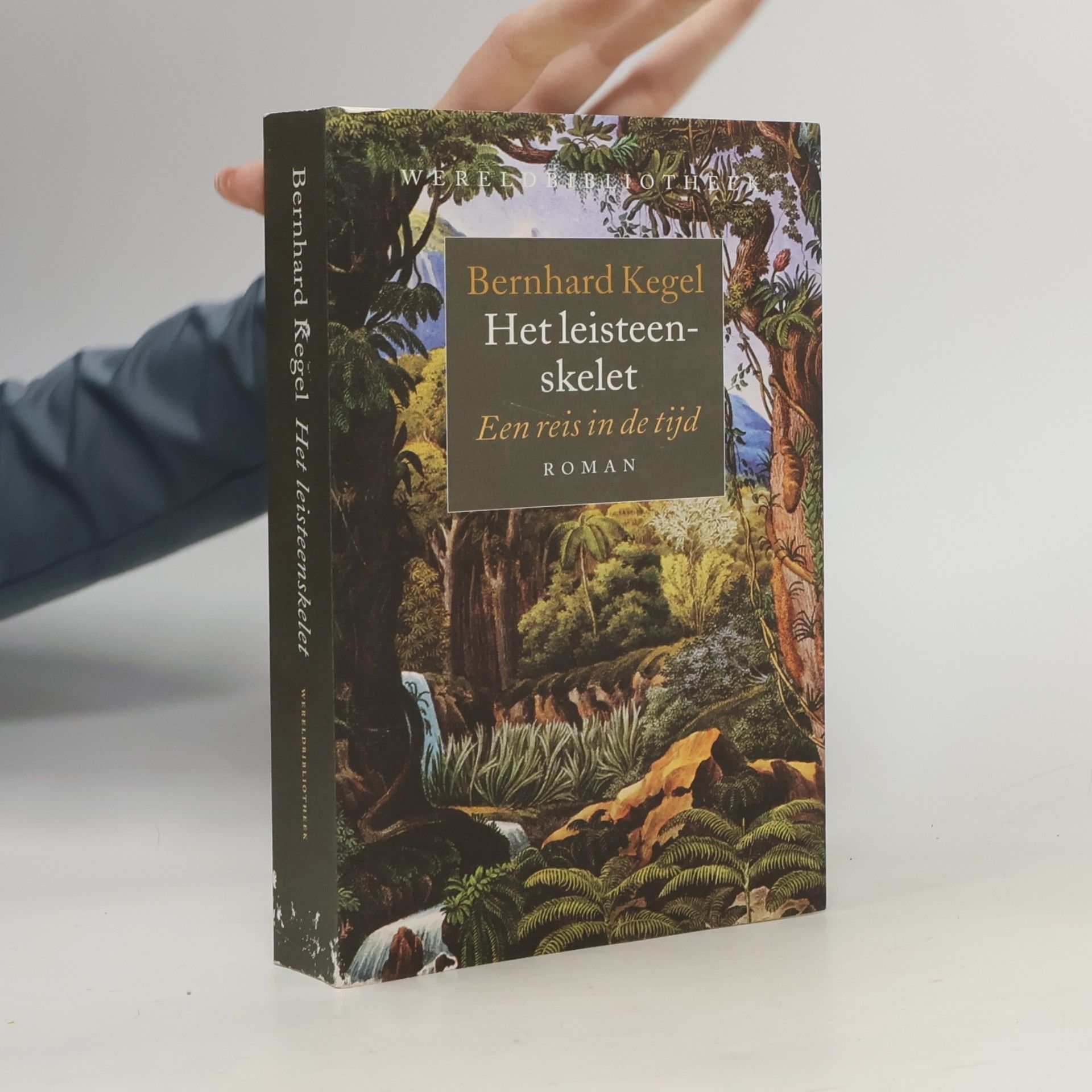 Het leisteenskelet
