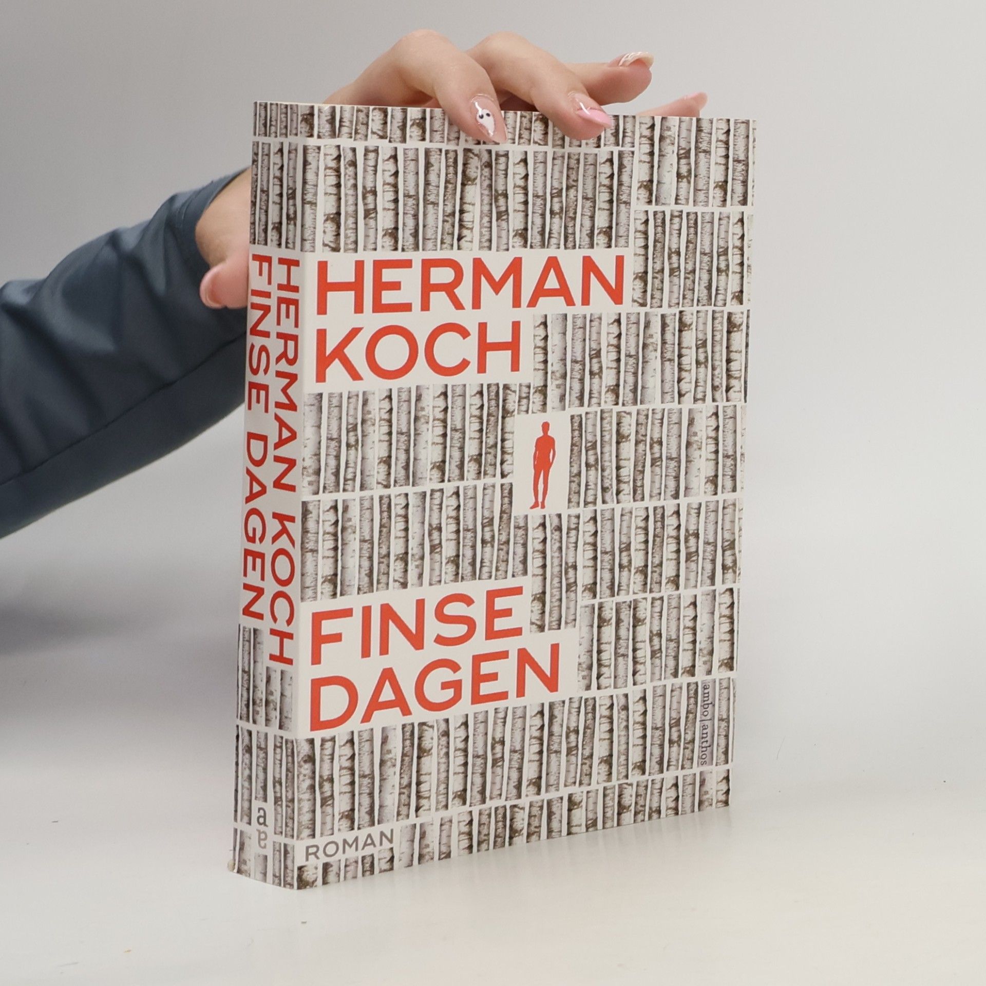 Finse dagen