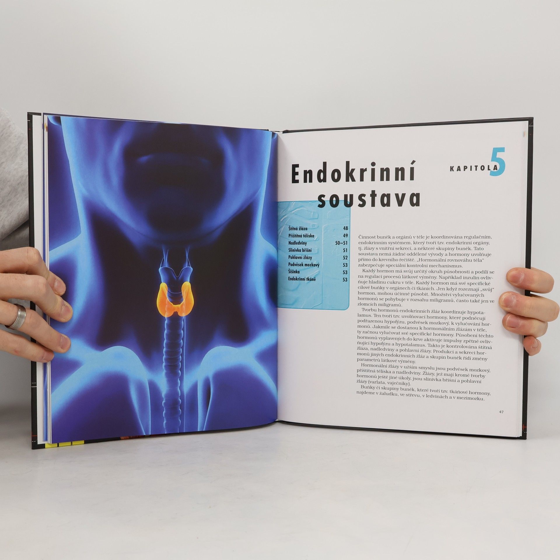 Kolektiv autorů Lidské tělo