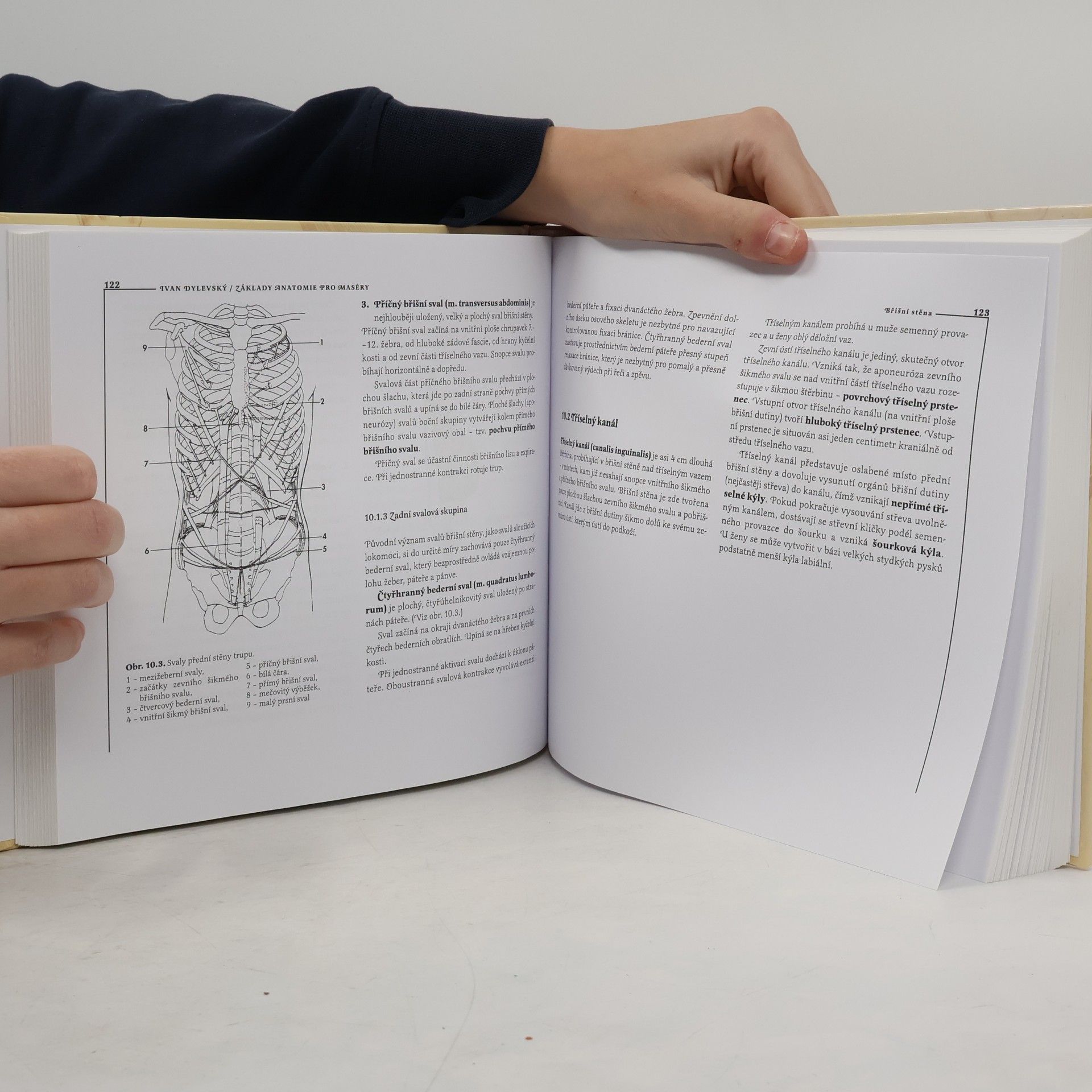 Ivan Dylevský Základy anatomie pro maséry