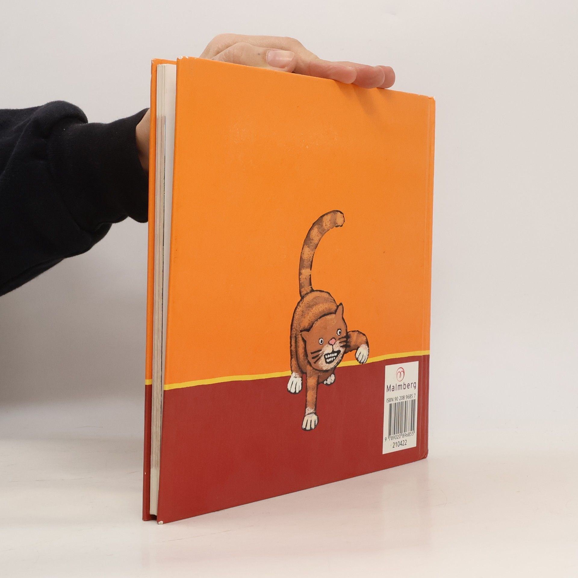 René Frans Berends De leessleutel Deel B Sleutelboek thema 9 t/m 12