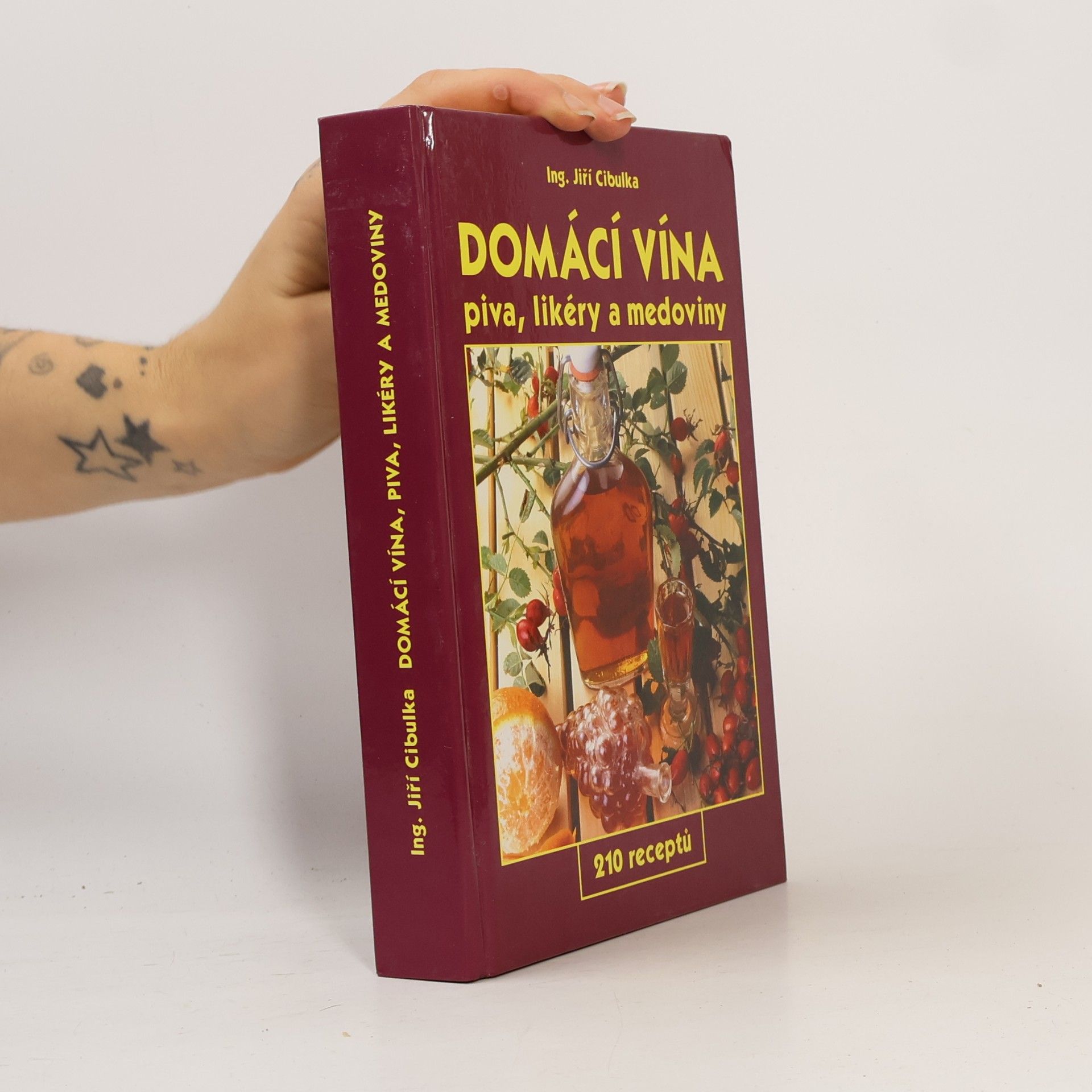 Domácí vína: Piva, likéry a medoviny