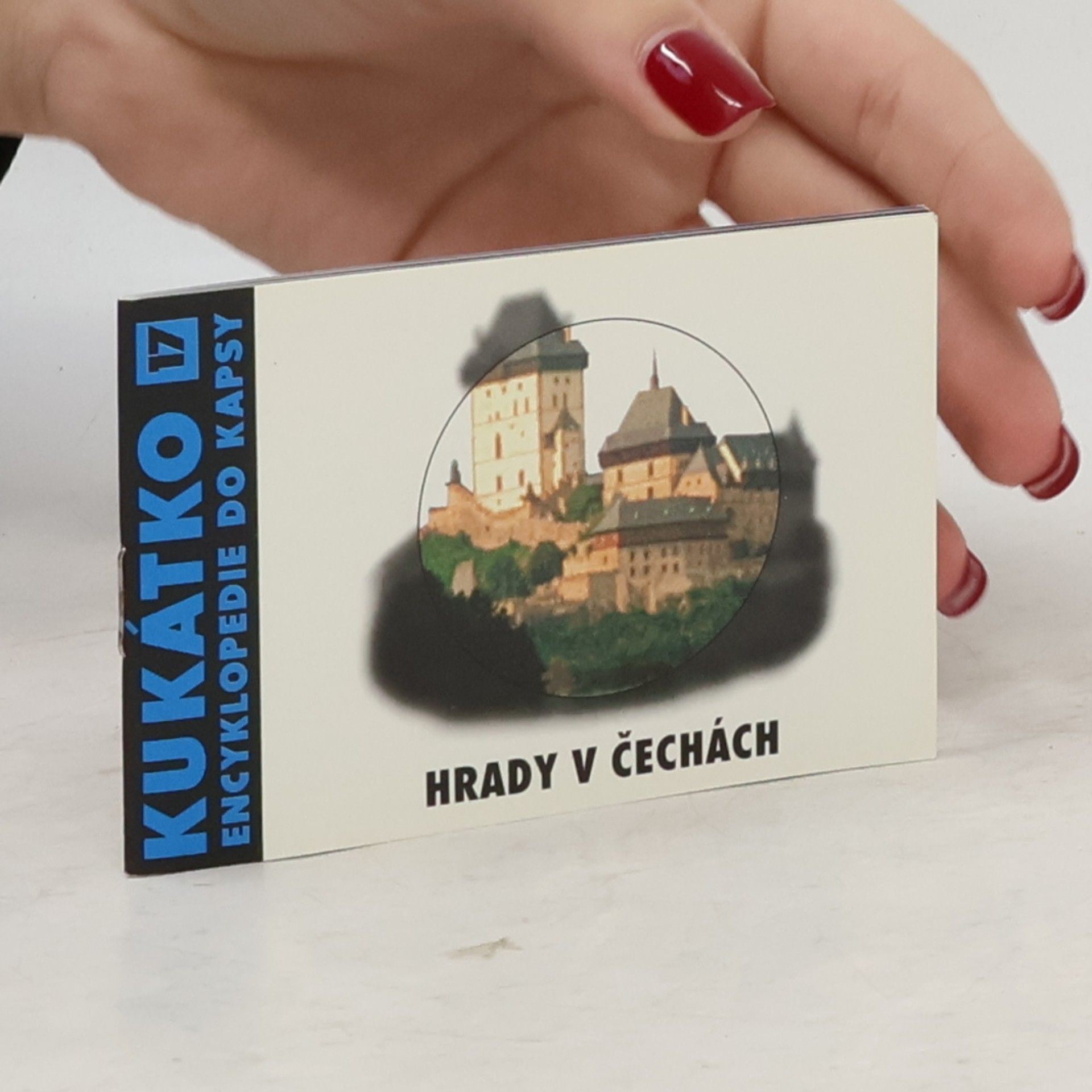 Petr Dvořáček Hrady v Čechách