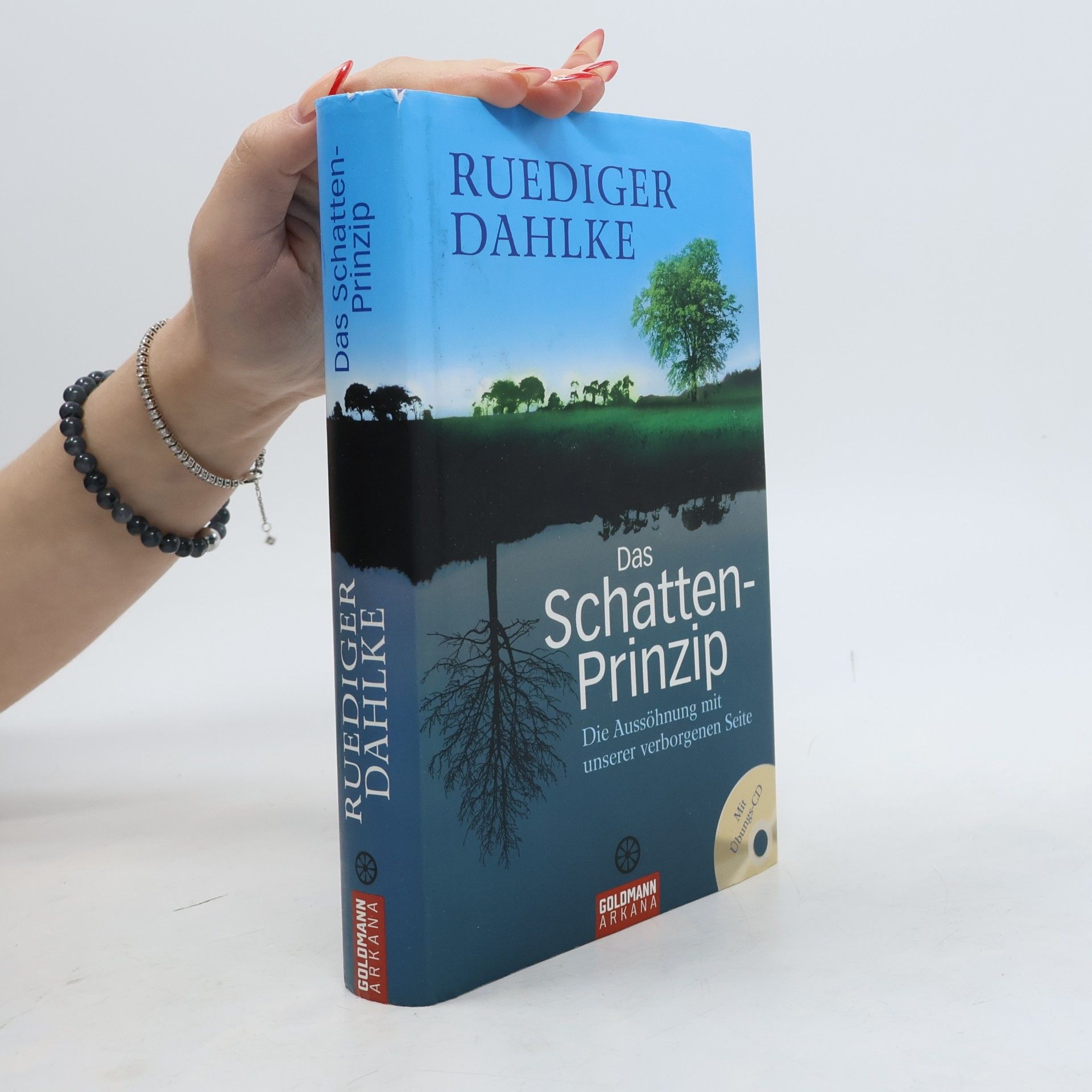 Das Schatten-Prinzip