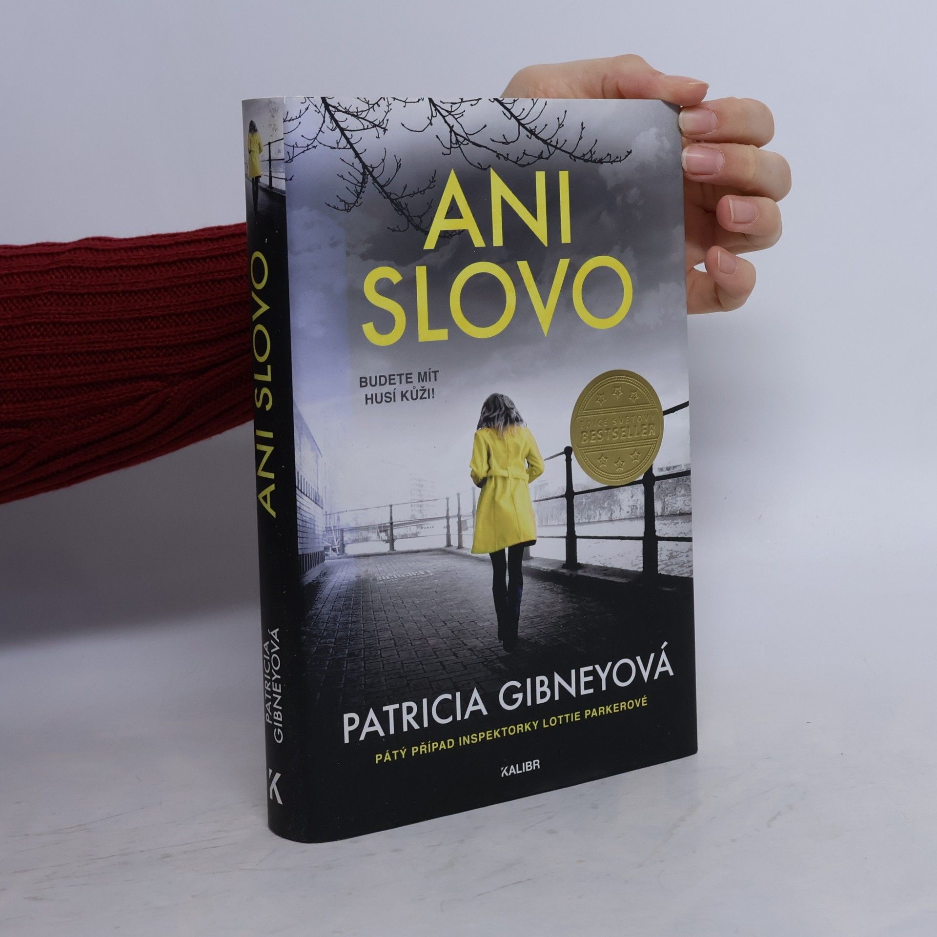 Ani slovo