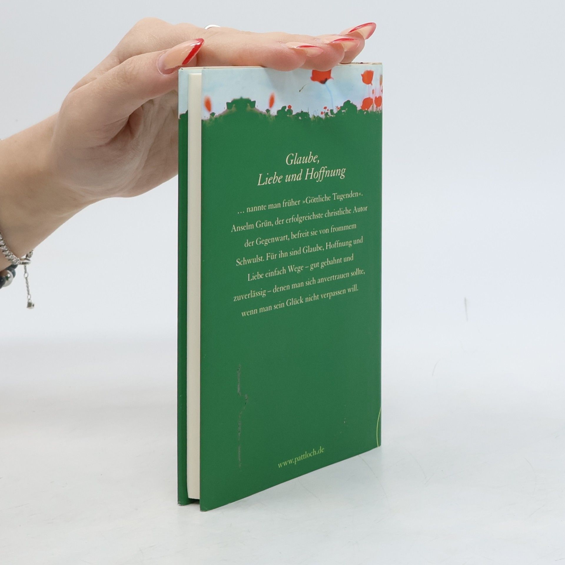 Anselm Grün Das kleine Buch der Tugenden