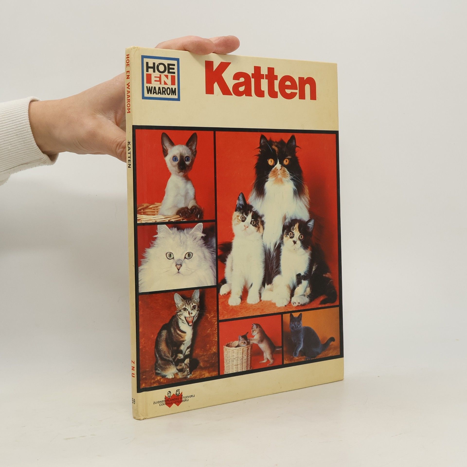 Katten 59