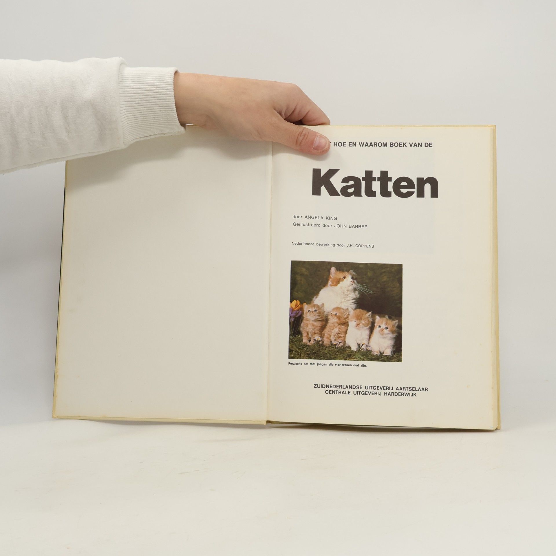 R. Hinz, E.C. Rose, B. Sanner Katten 59