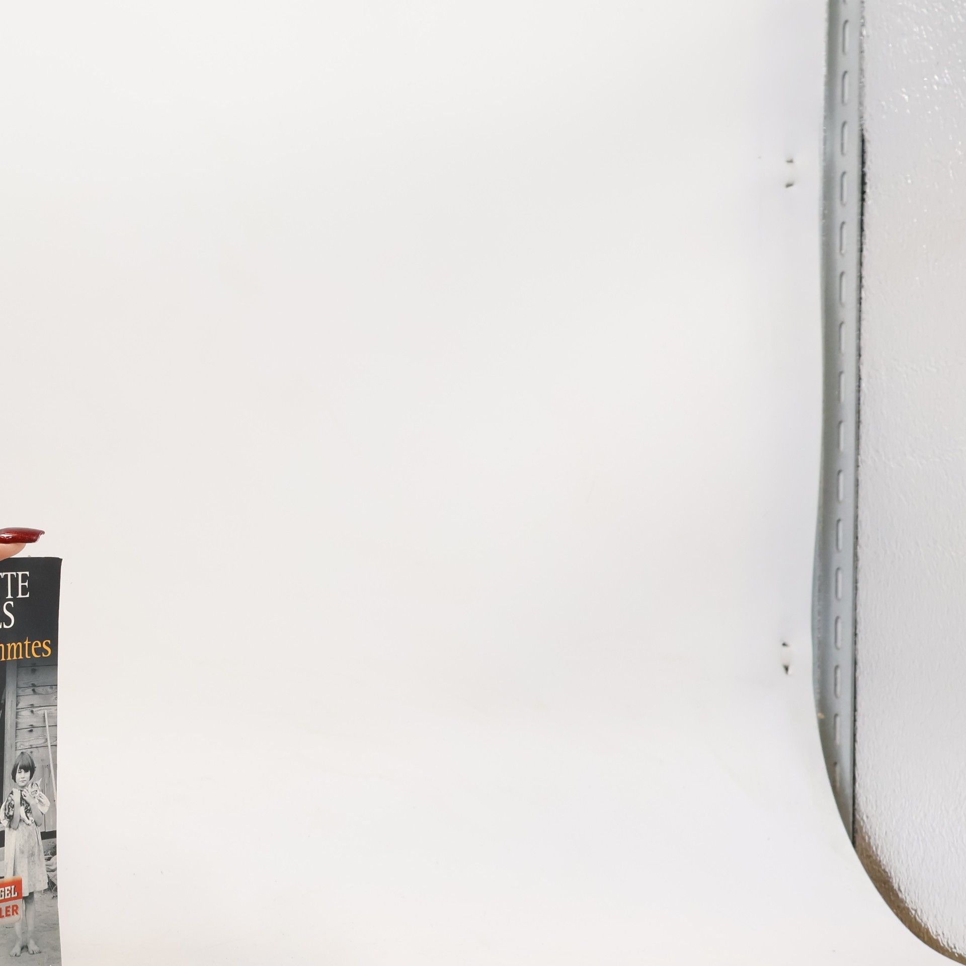 Jeannette Walls Ein ungezähmtes Leben