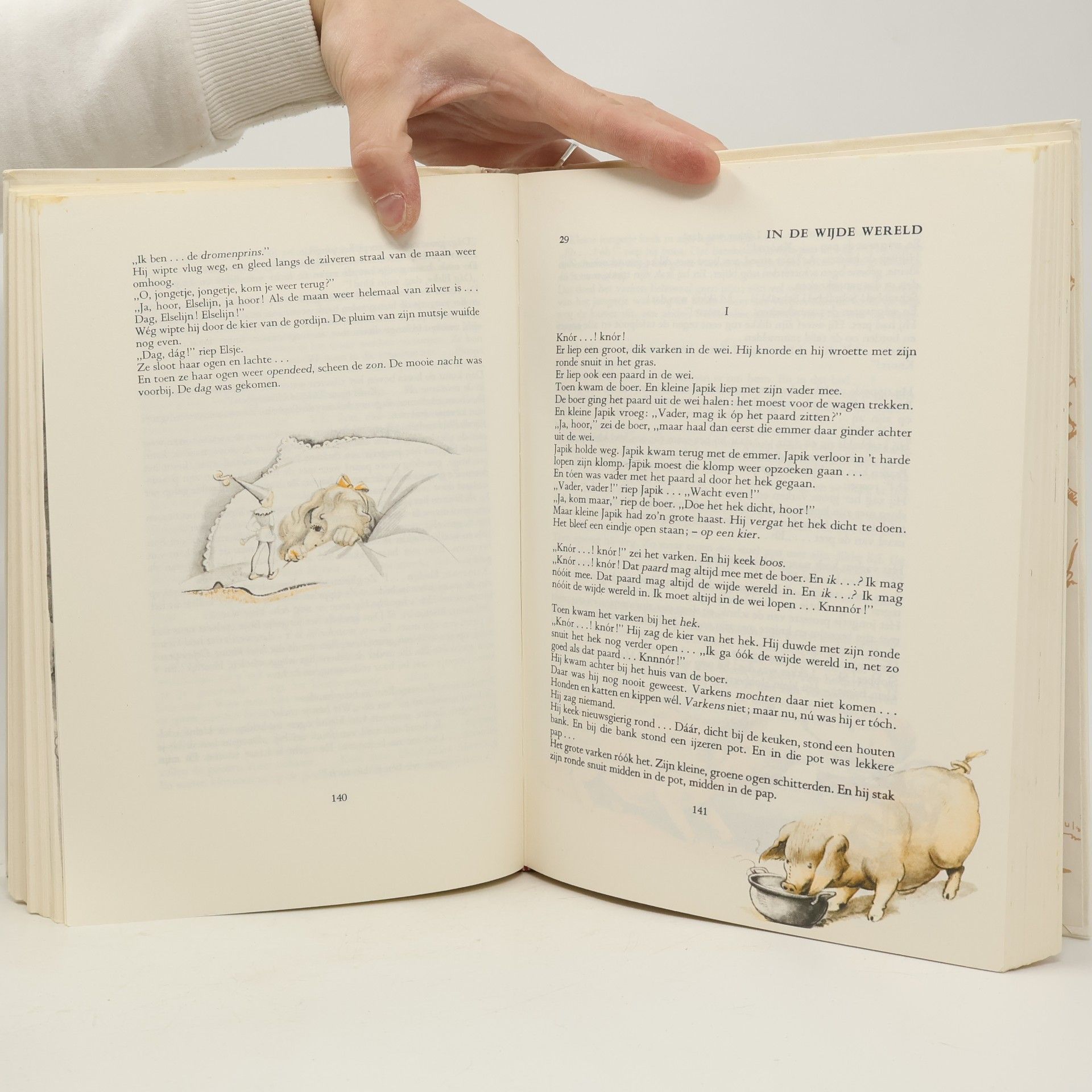 W. G. Van De Hulst Het grote voorleesboek