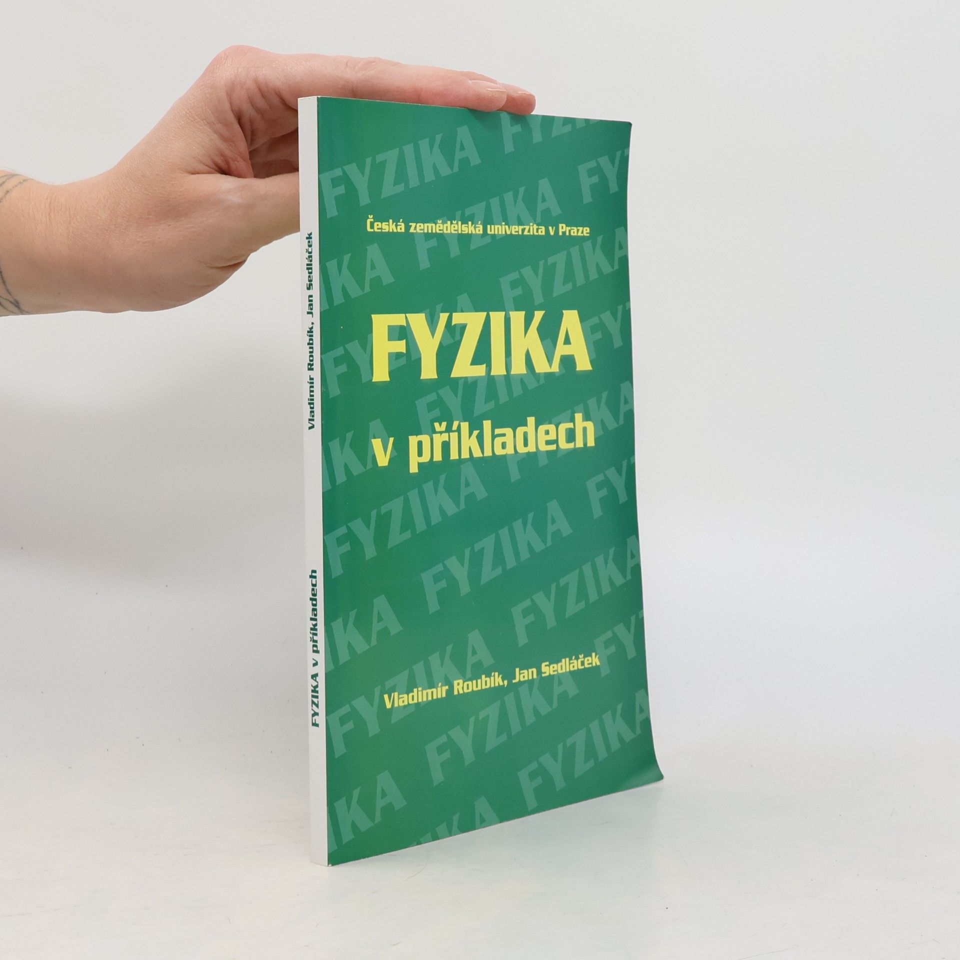 Fyzika v příkladech