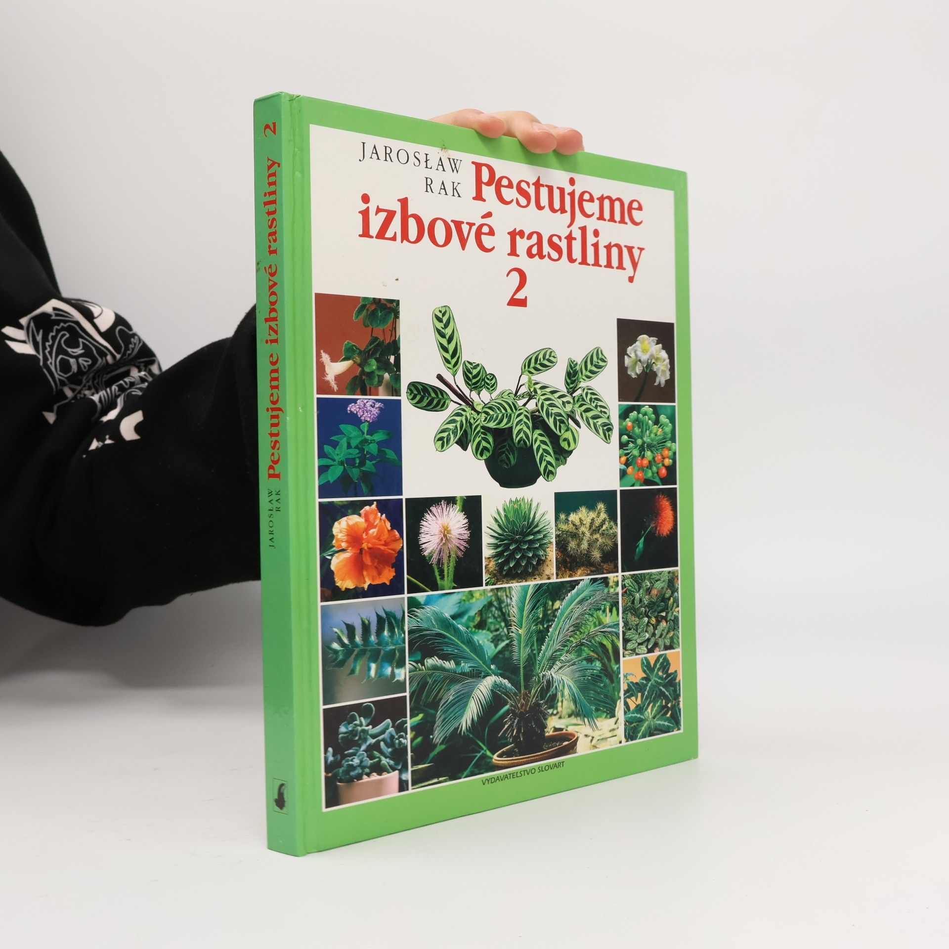 Pestujeme izbové rastliny 2