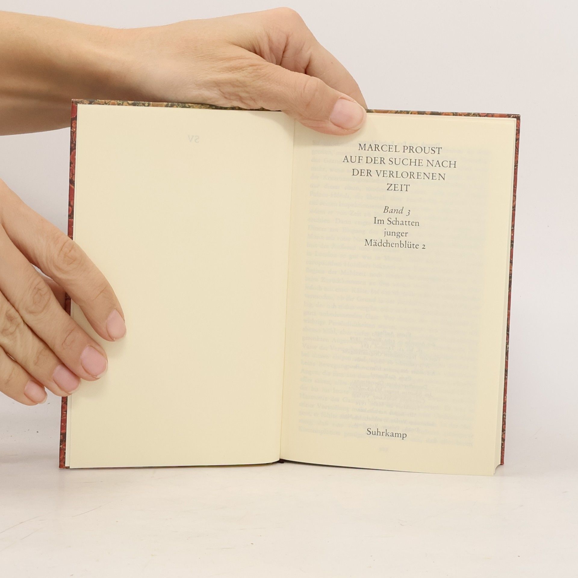Marcel Proust Auf der Suche nach der verlorenen Zeit 3