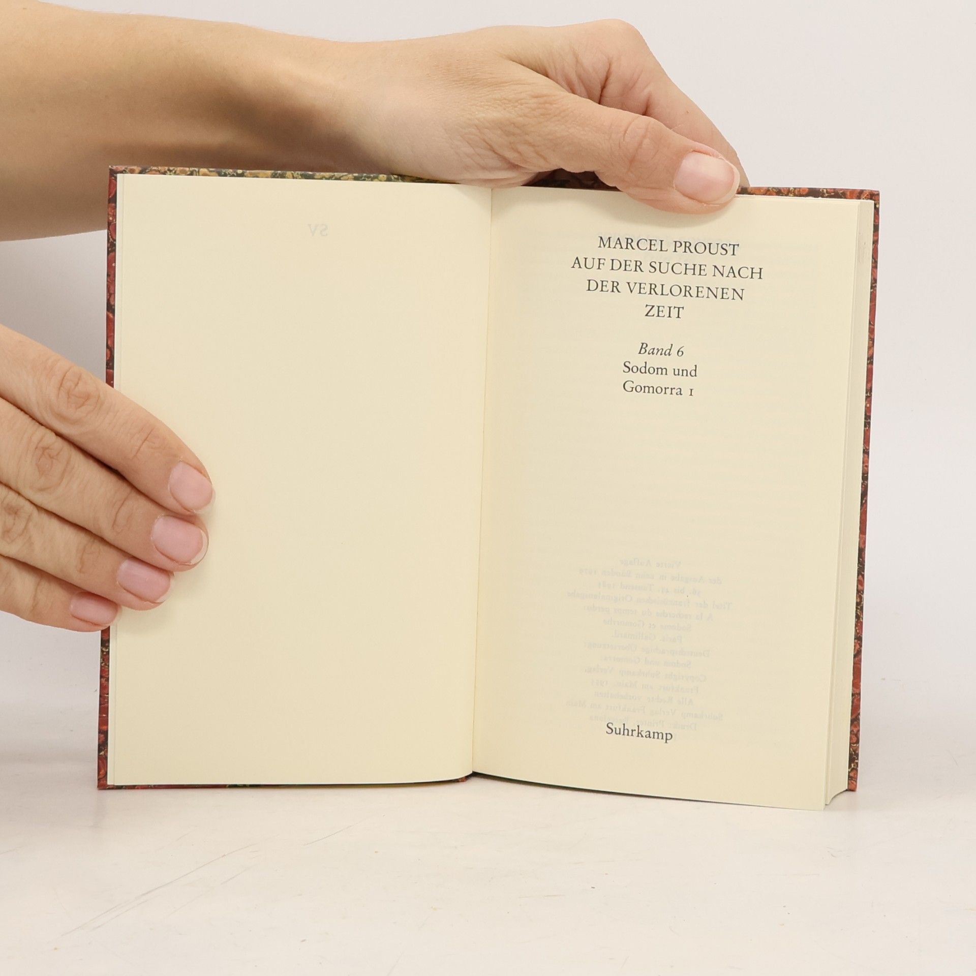 Marcel Proust Auf der Suche nach der verlorenen Zeit 6