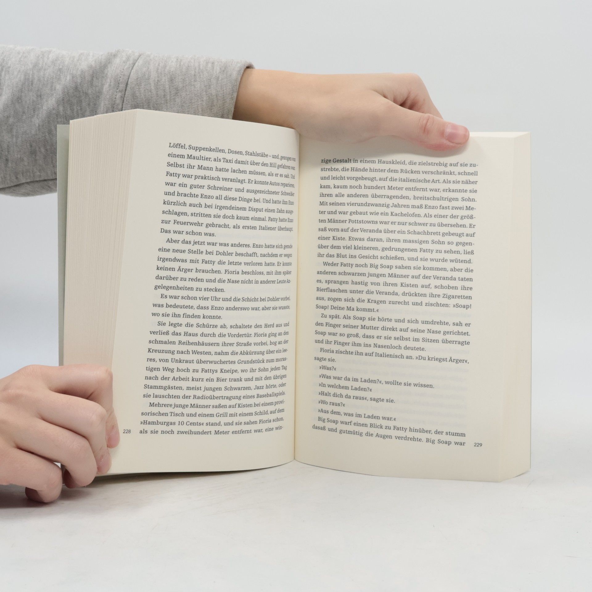 James McBride Himmel & Erde. Roman