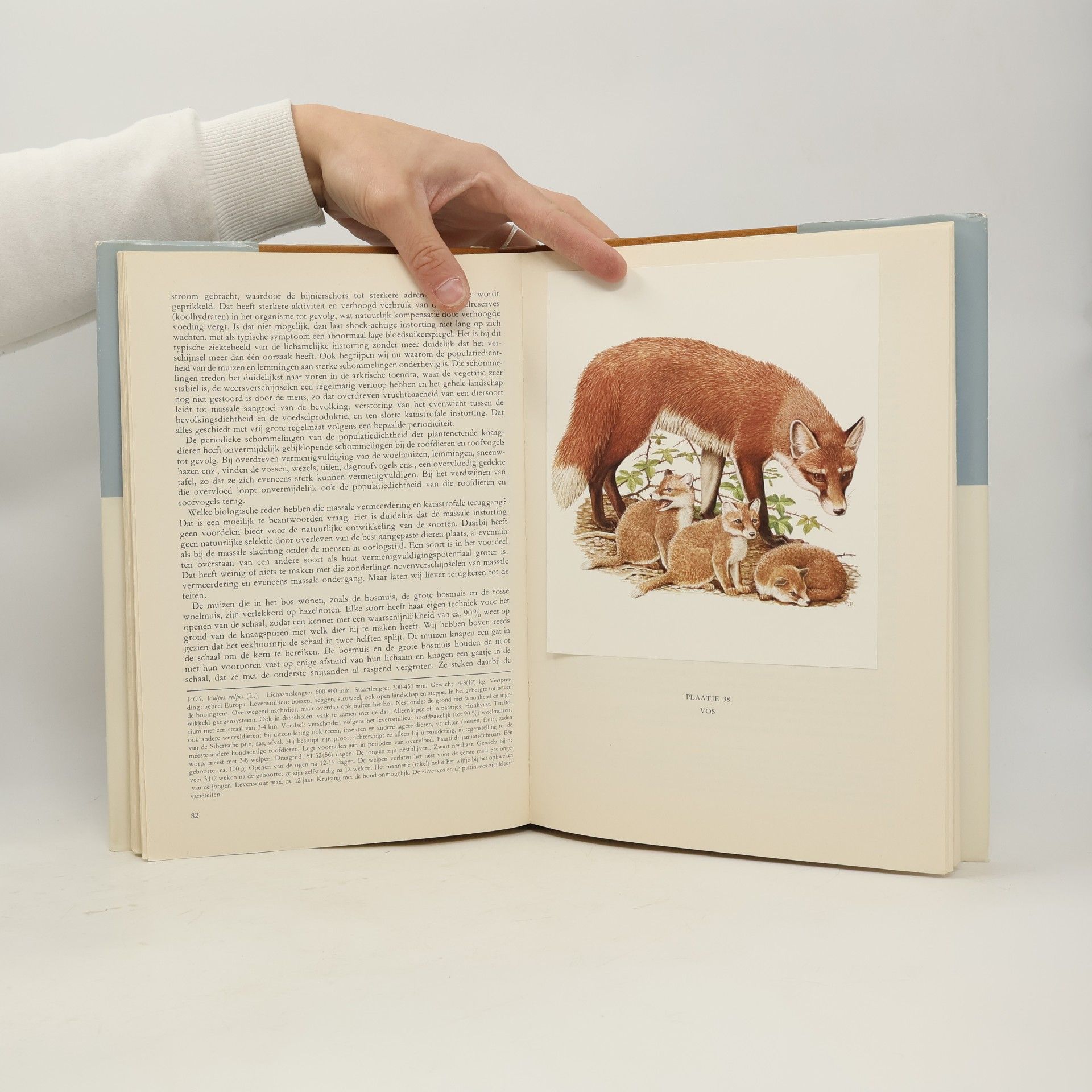 Dieter Burckhardt Zoogdieren uit Europa I