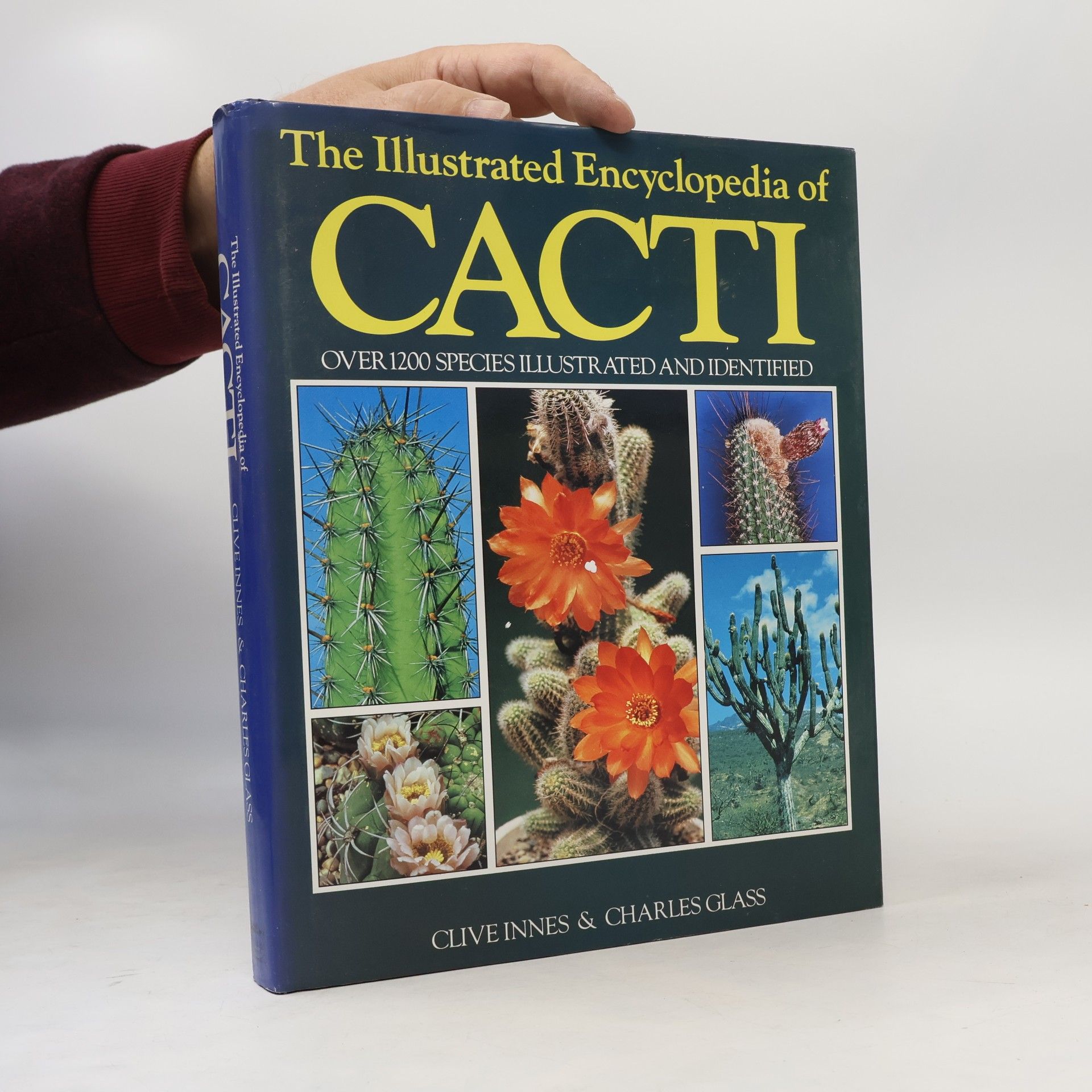 Clive Innes The Illustrated Encyclopaedia of Cacti