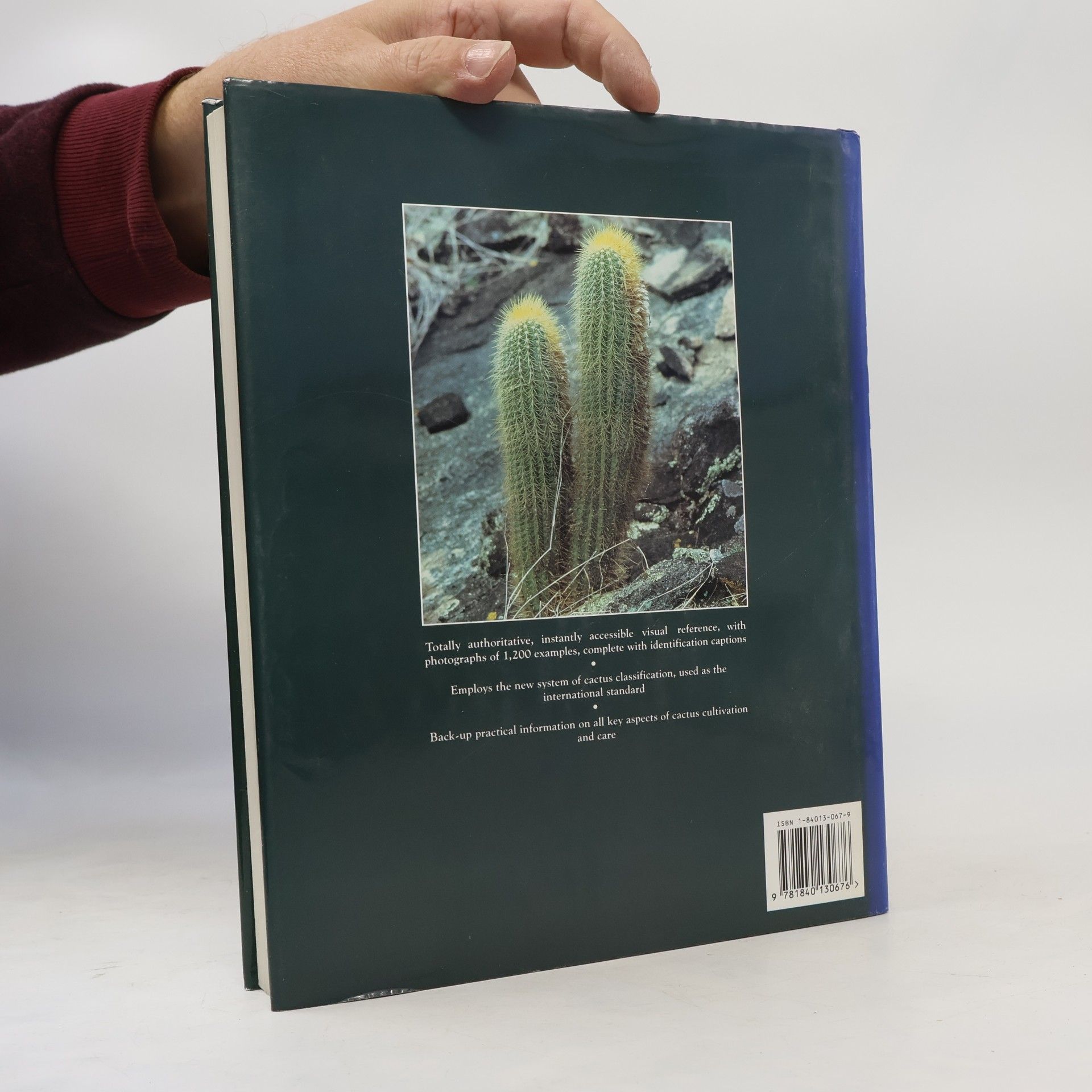 Clive Innes The Illustrated Encyclopaedia of Cacti