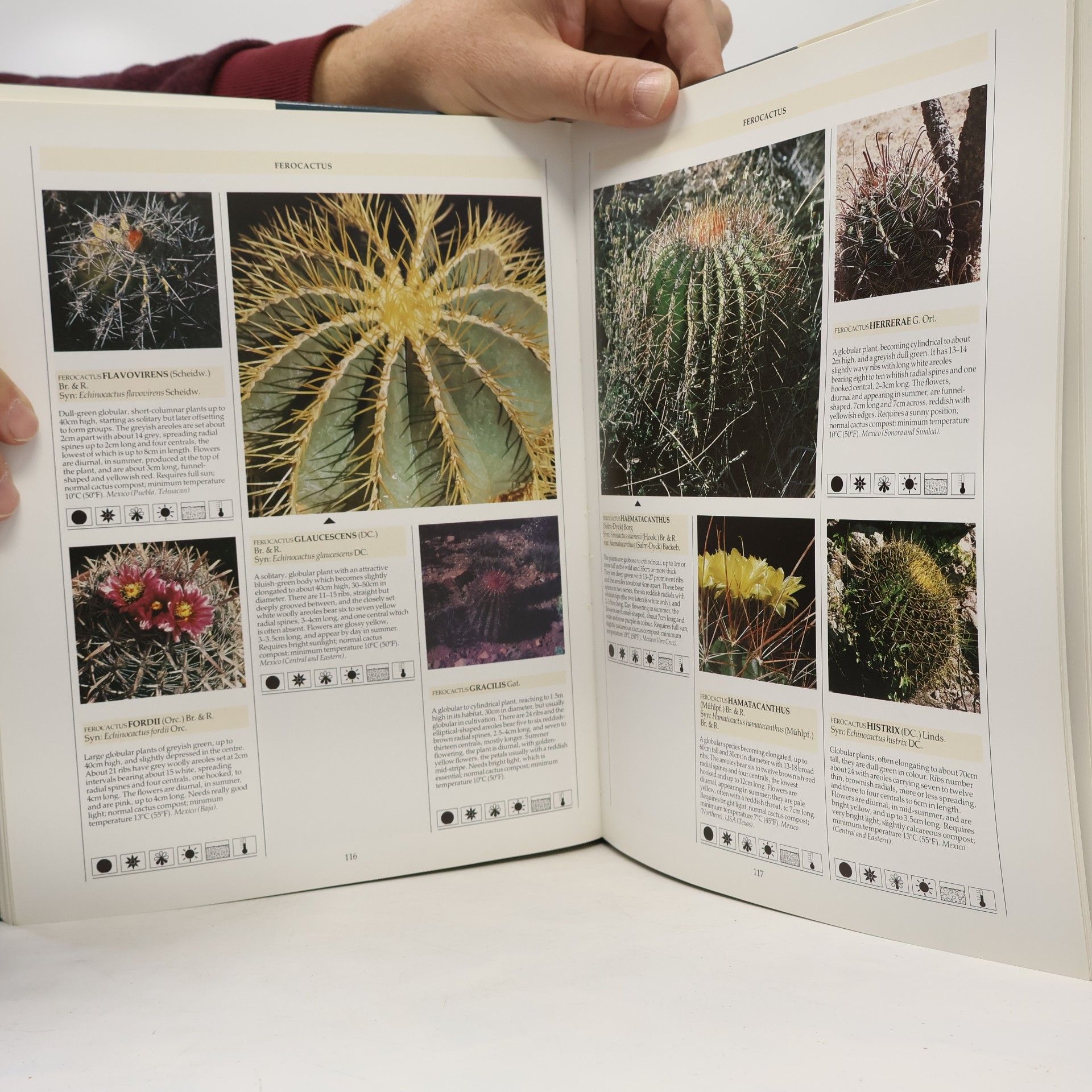 Clive Innes The Illustrated Encyclopaedia of Cacti