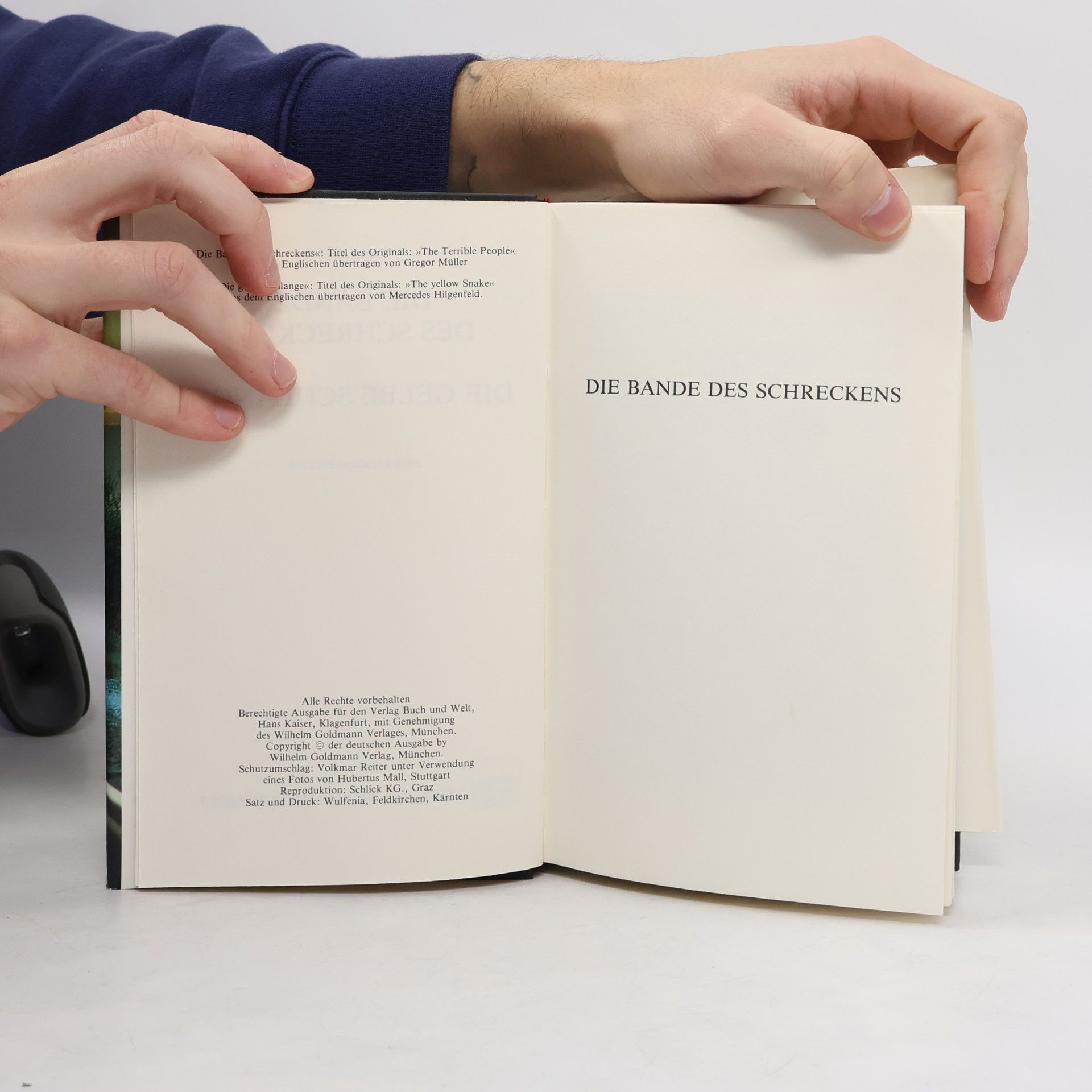 Edgar Wallace Die Bande des Schreckens. Die gelbe Schlange