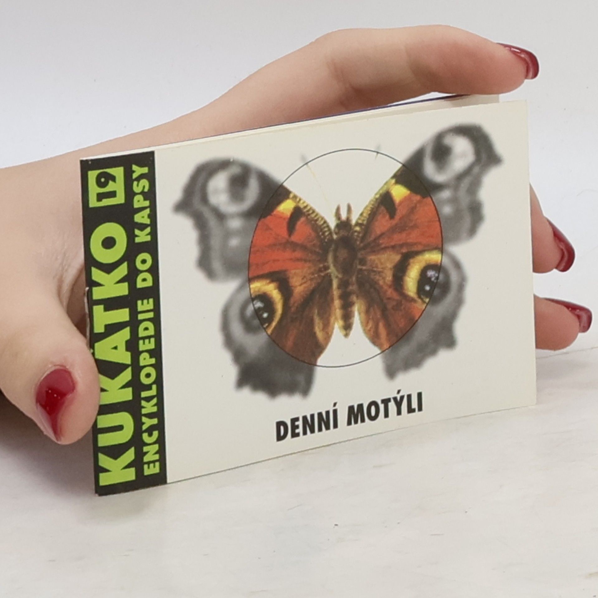 Kukátko 19. Denní motýli