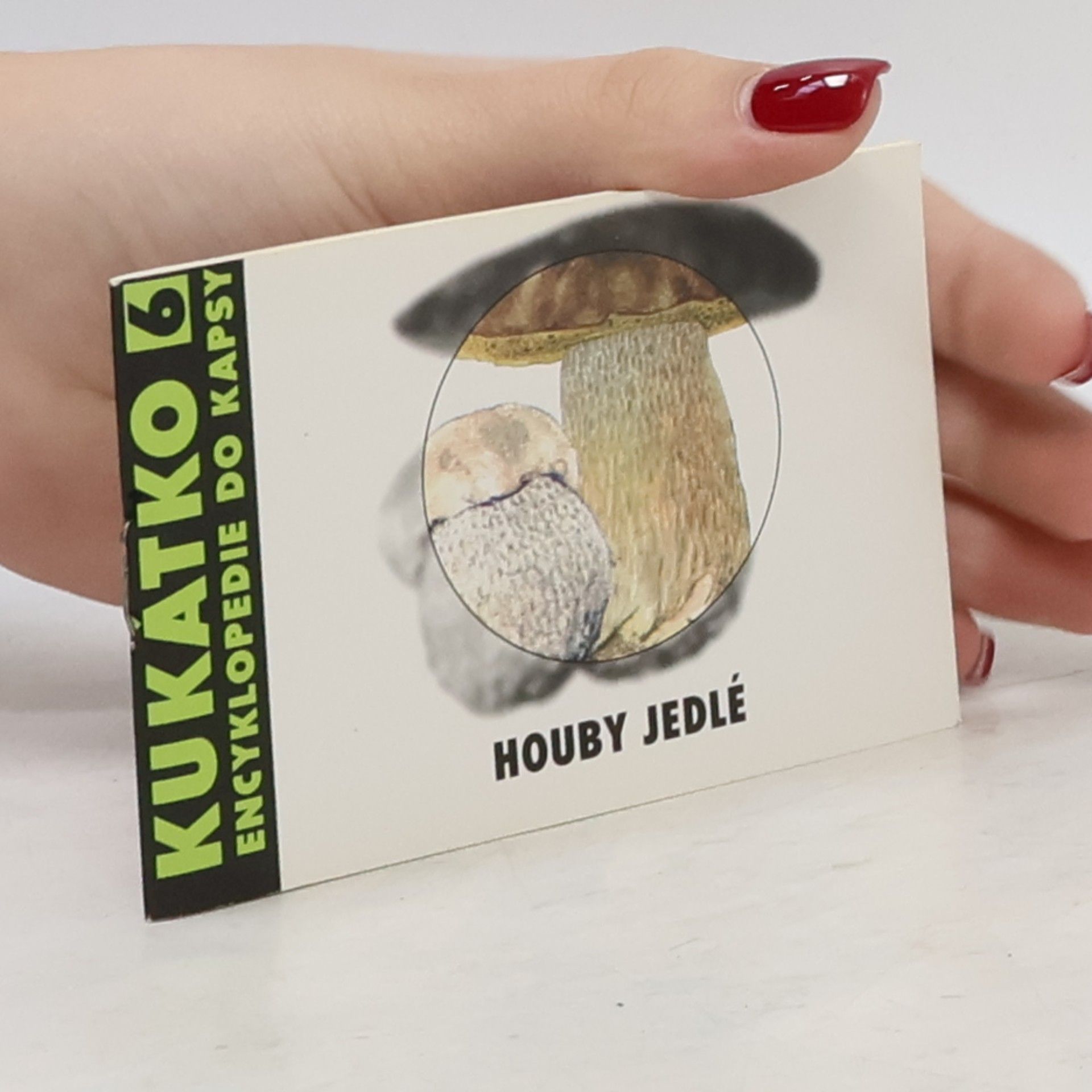 Autorenkollektiv Kukátko 6. Houby jedlé