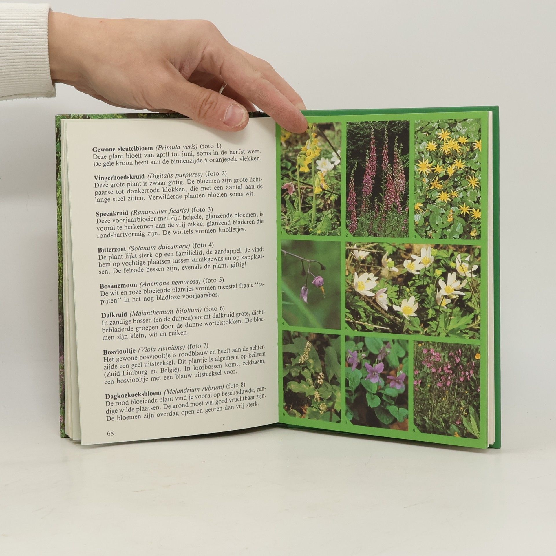 Collectif d'auteurs Natuurboek
