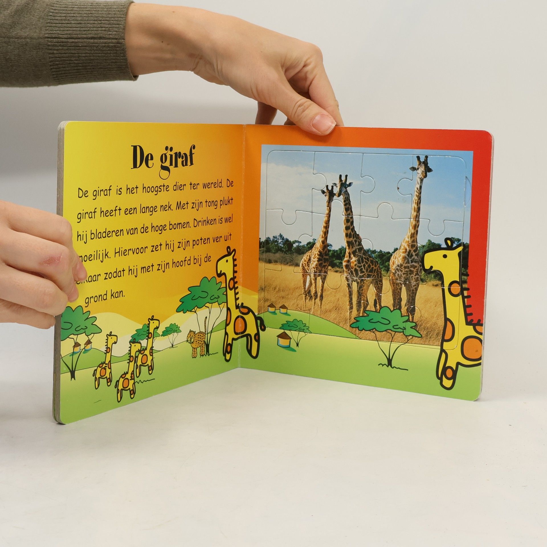 Collectif d'auteurs Tierischer Puzzle-Spaß